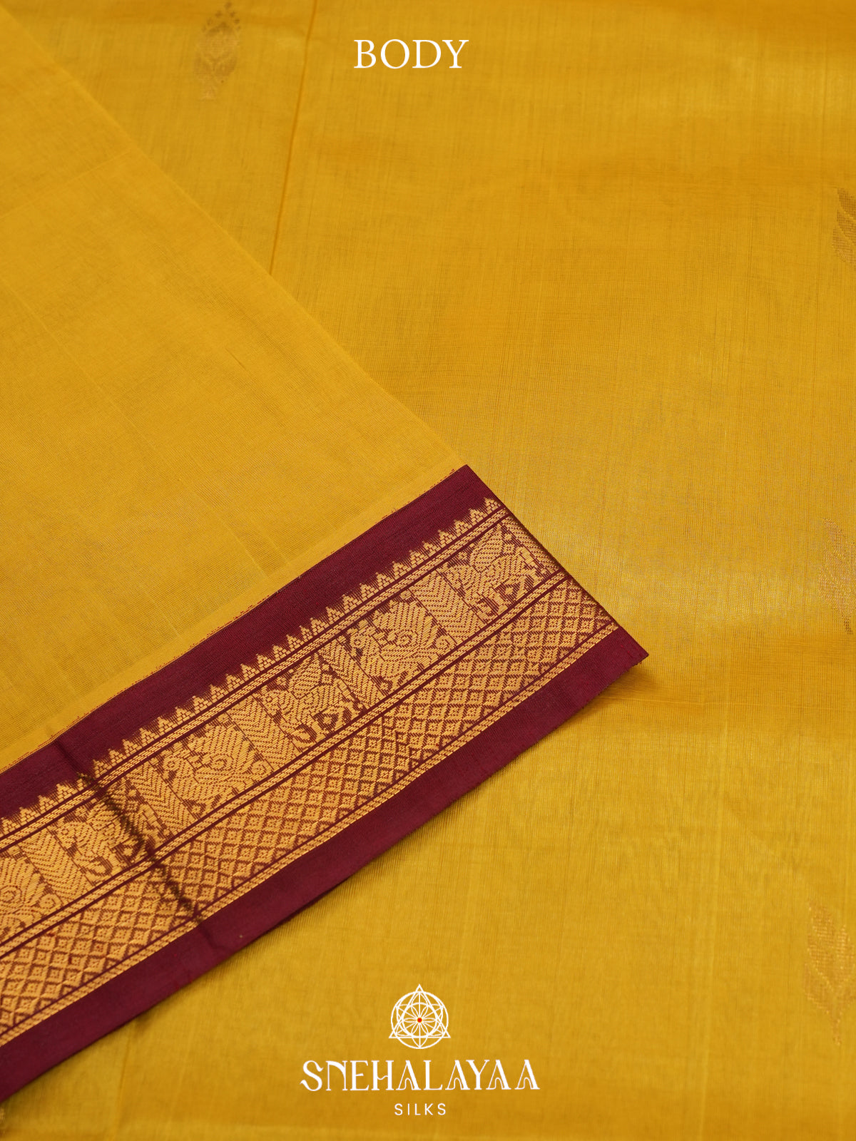 Mango Yellow Kanchi Silk Cotton Saree