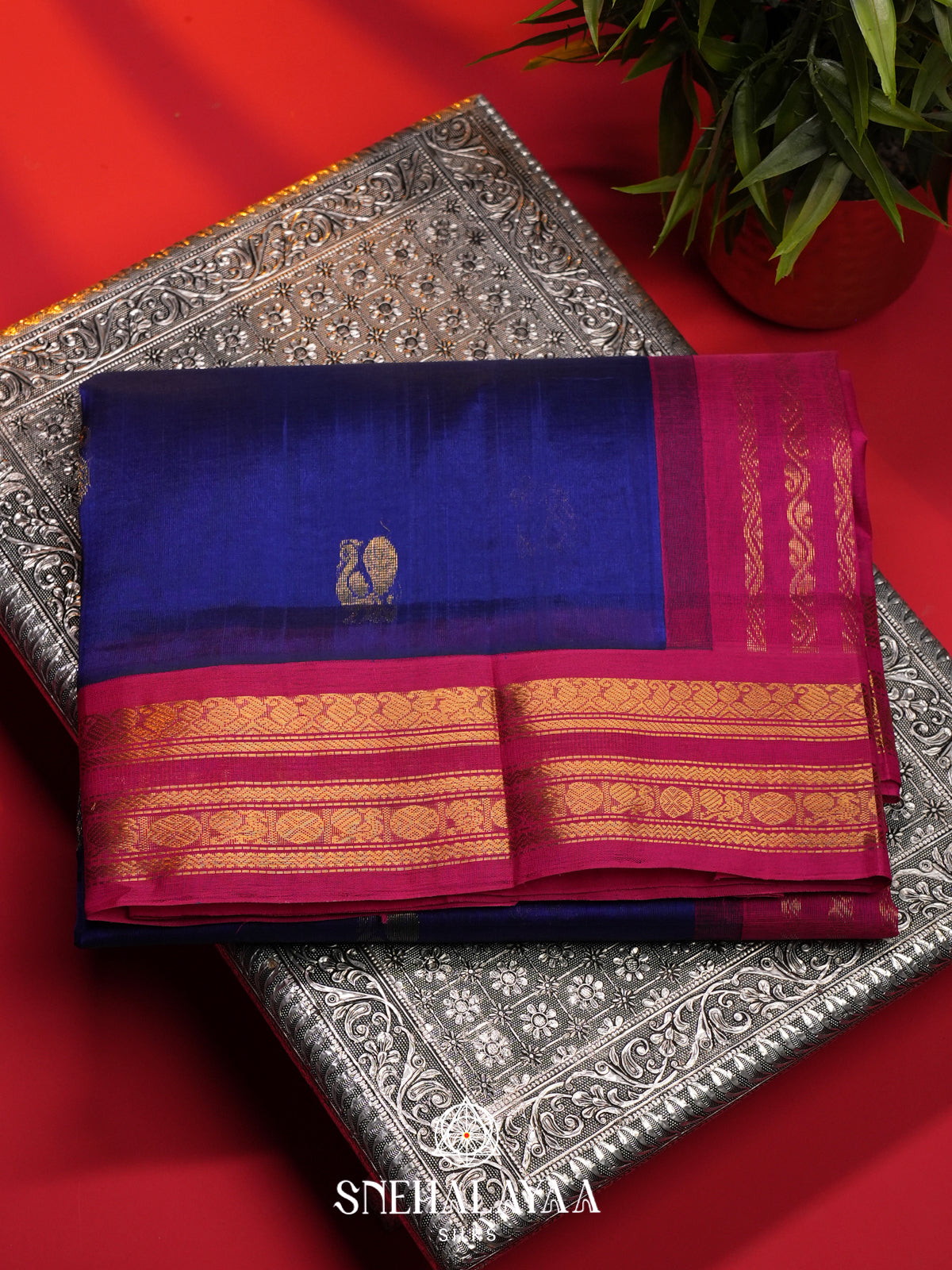 Purple Kanchi Silk Cotton Saree