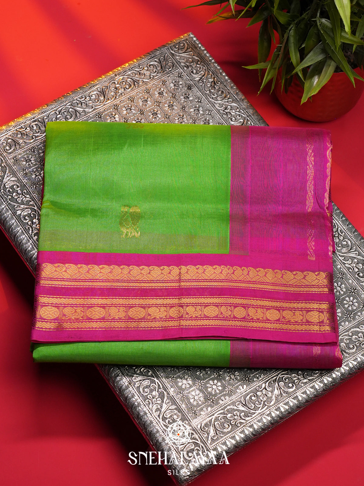 Green Kanchi Silk Cotton Saree