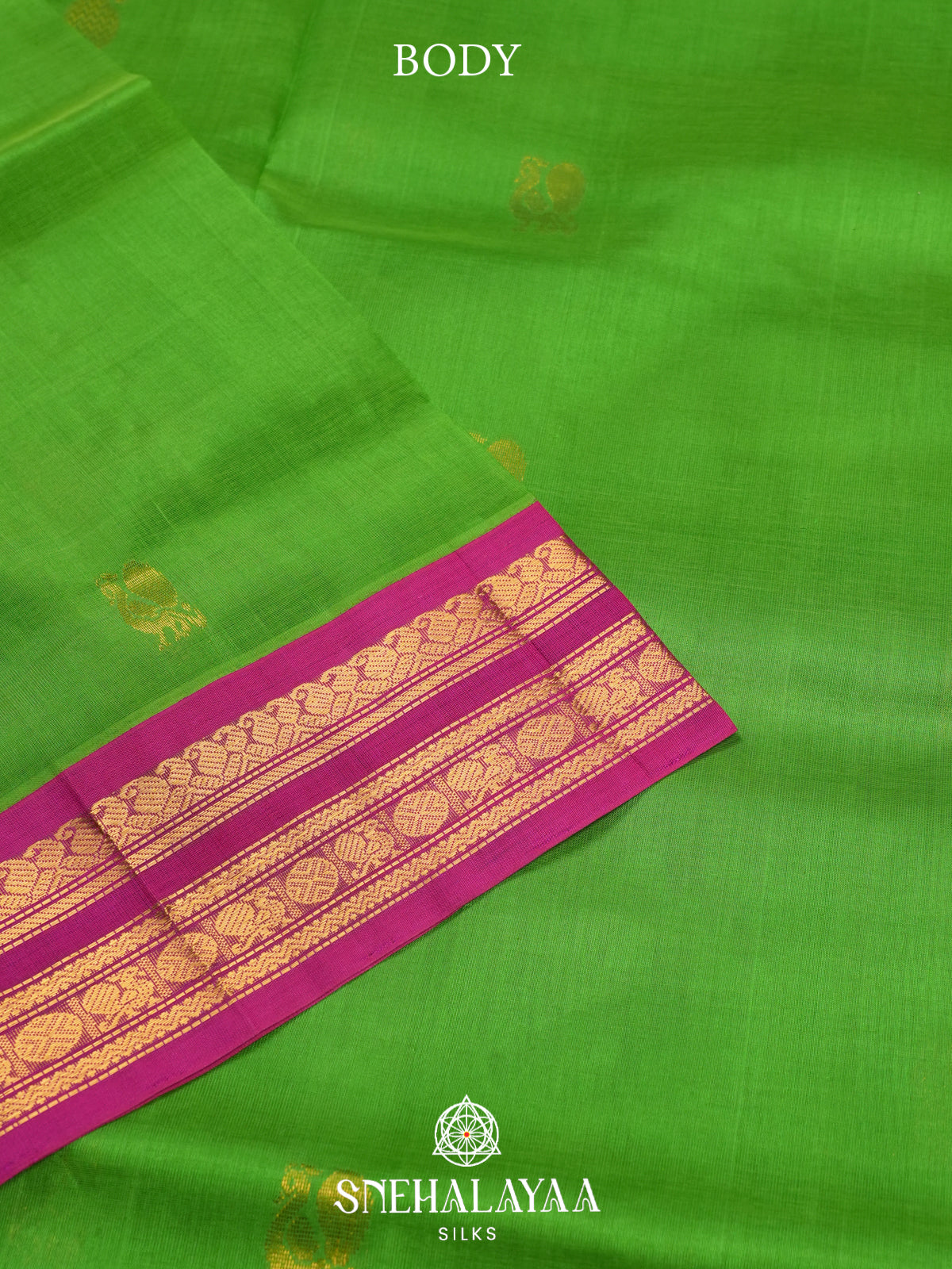 Green Kanchi Silk Cotton Saree