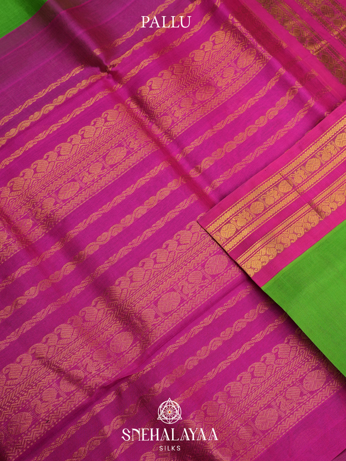 Green Kanchi Silk Cotton Saree