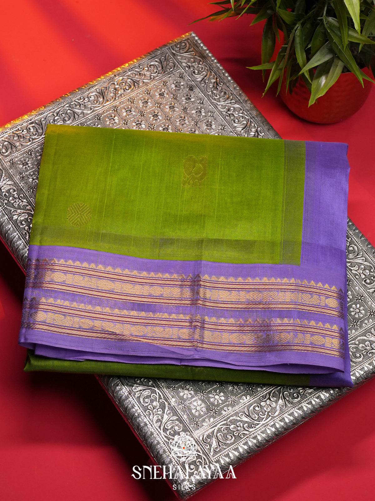 Green Kanchi Silk Cotton Saree