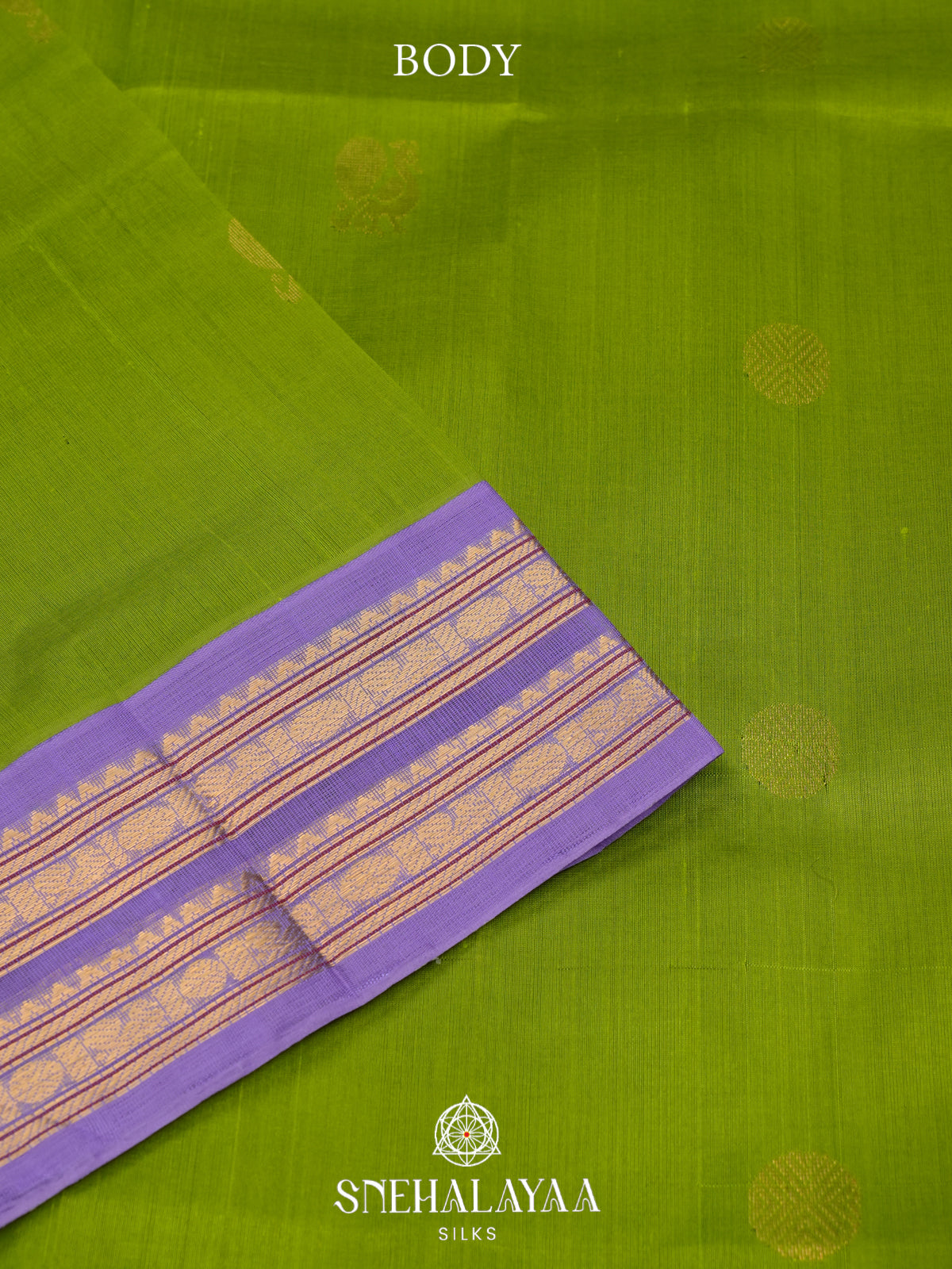 Green Kanchi Silk Cotton Saree
