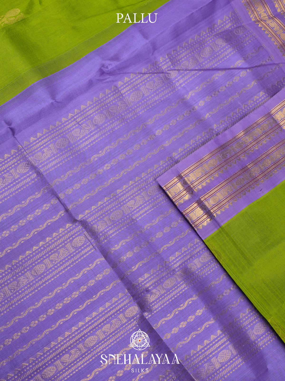 Green Kanchi Silk Cotton Saree