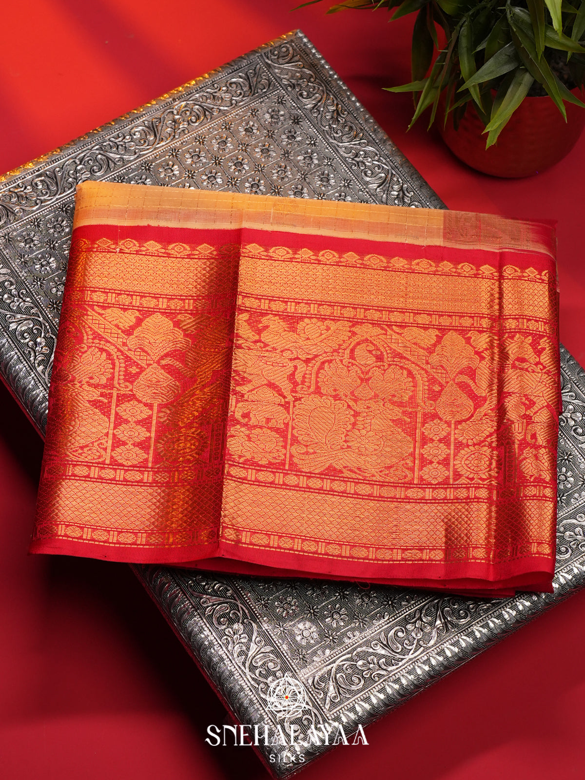 Cream Kanchi Silk Cotton Saree