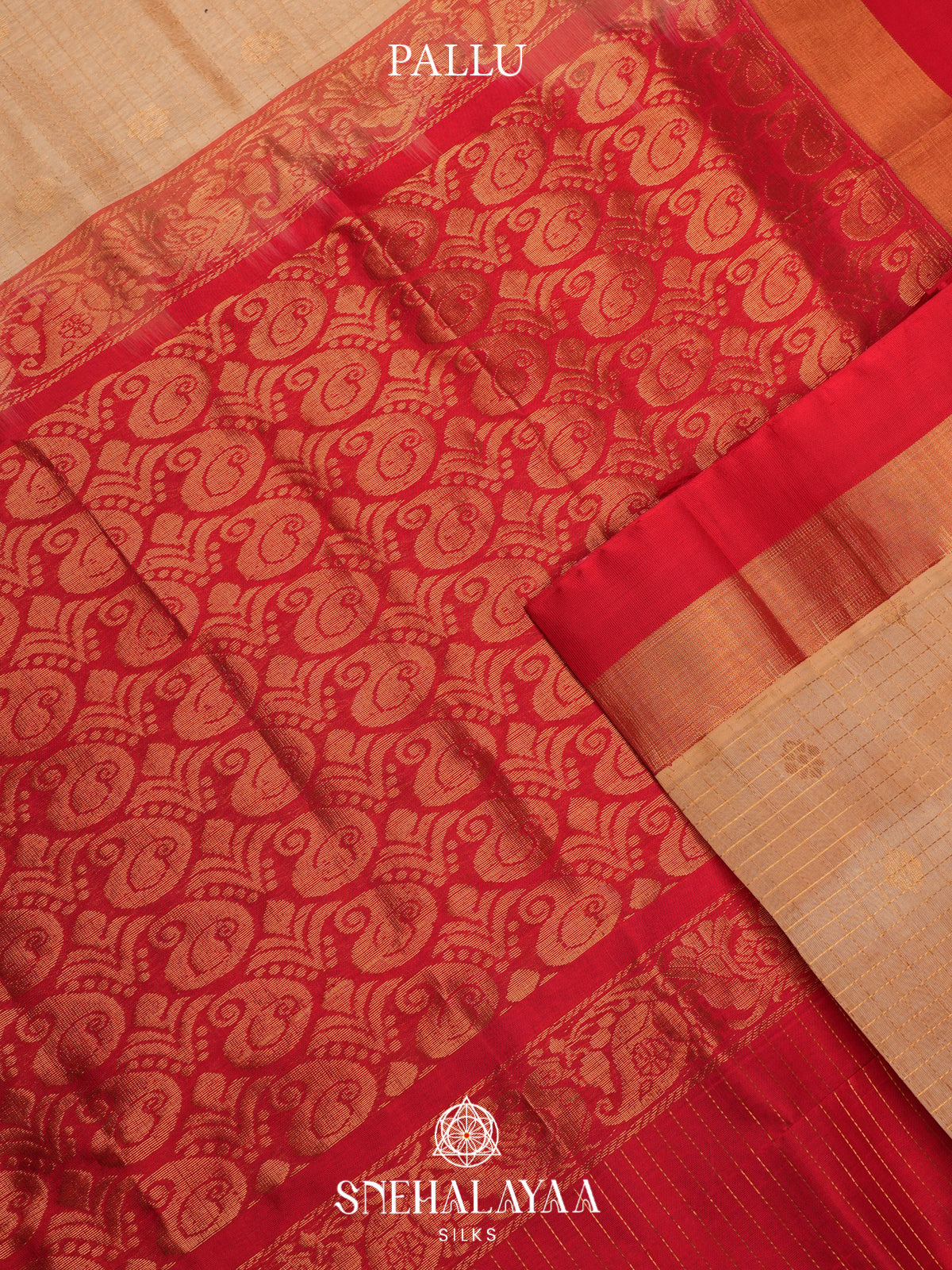 Cream Kanchi Silk Cotton Saree