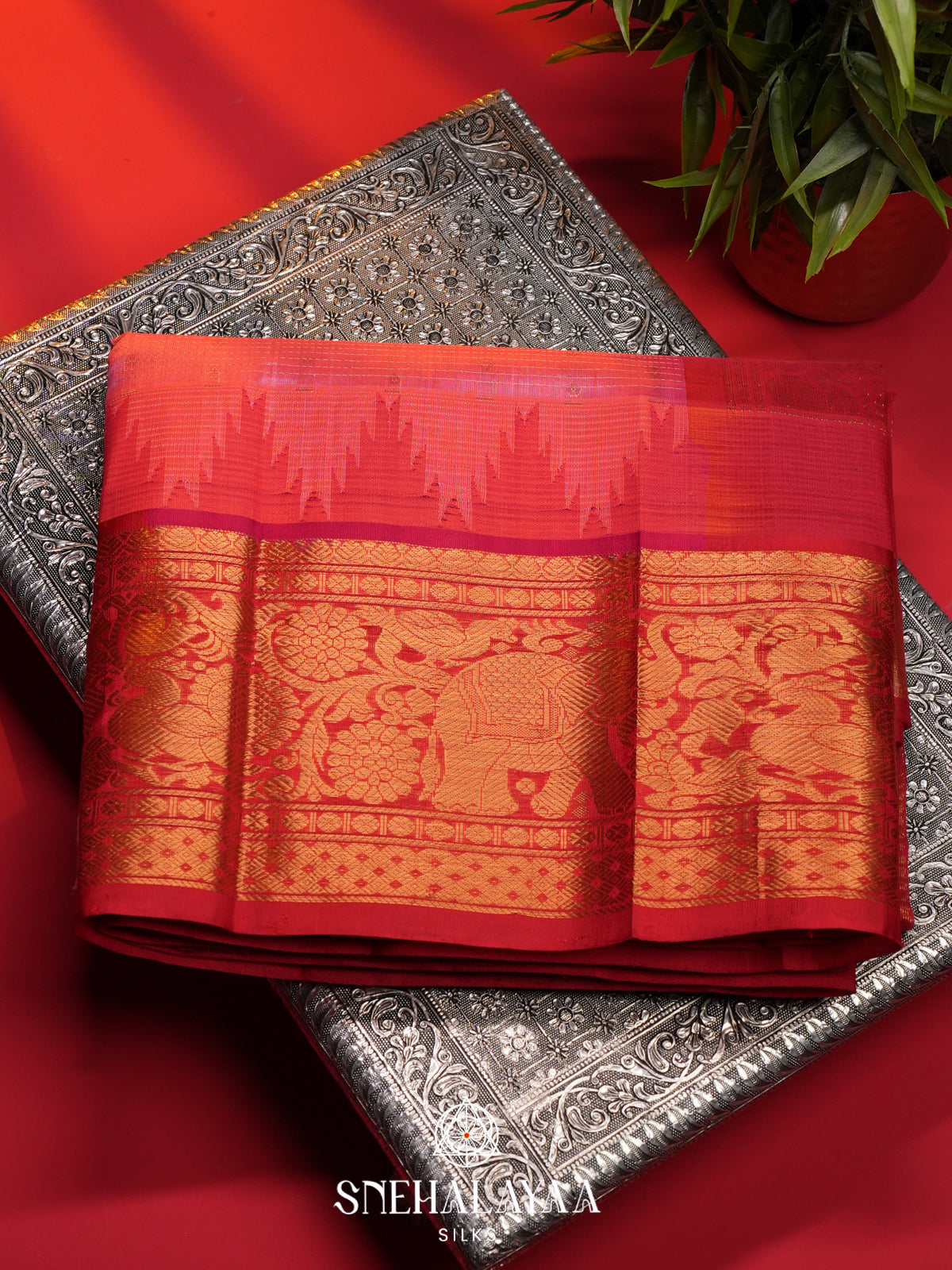 Pink Kanchi Silk Cotton Saree