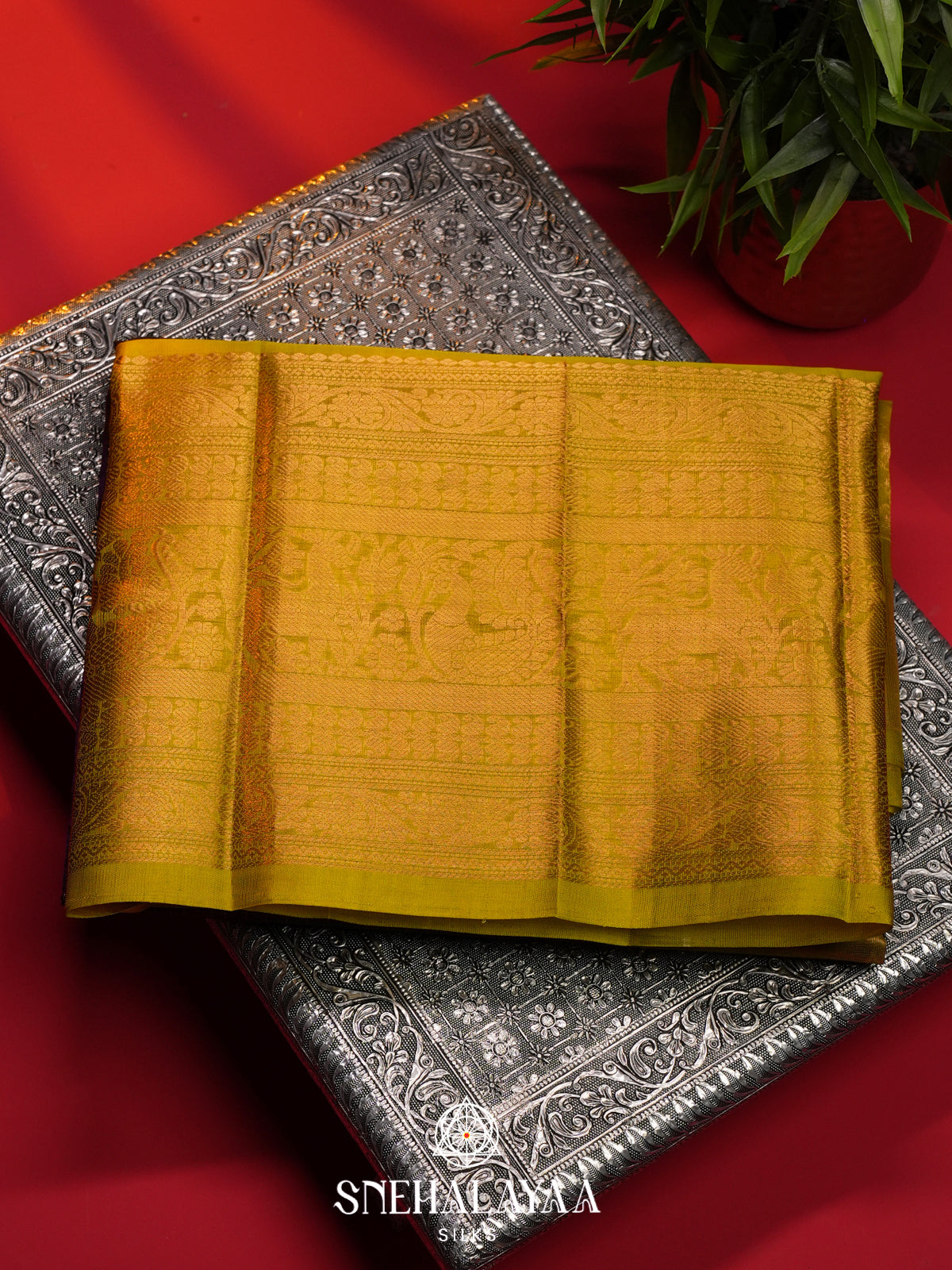 Purple Kanchi Silk Cotton Saree