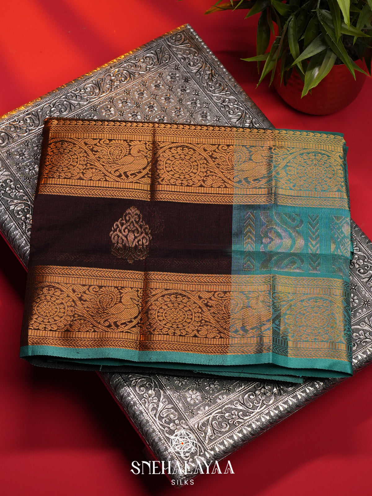 Coffee Brown Kanchi Silk Cotton Saree