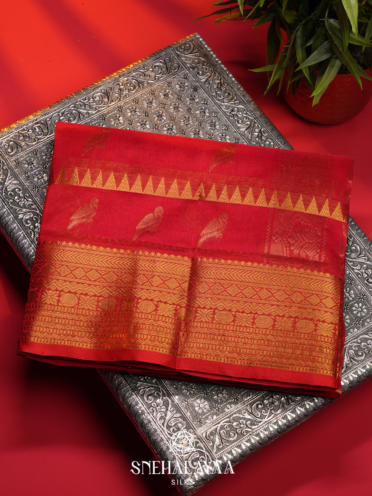 Red Kanchi Silk Cotton Saree