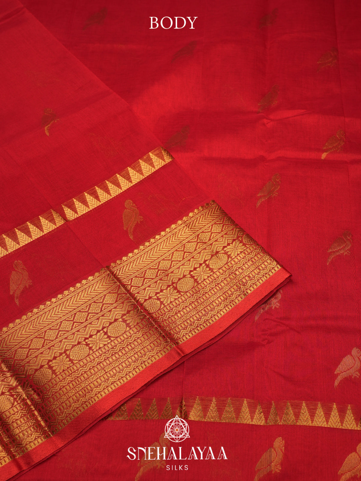 Red Kanchi Silk Cotton Saree