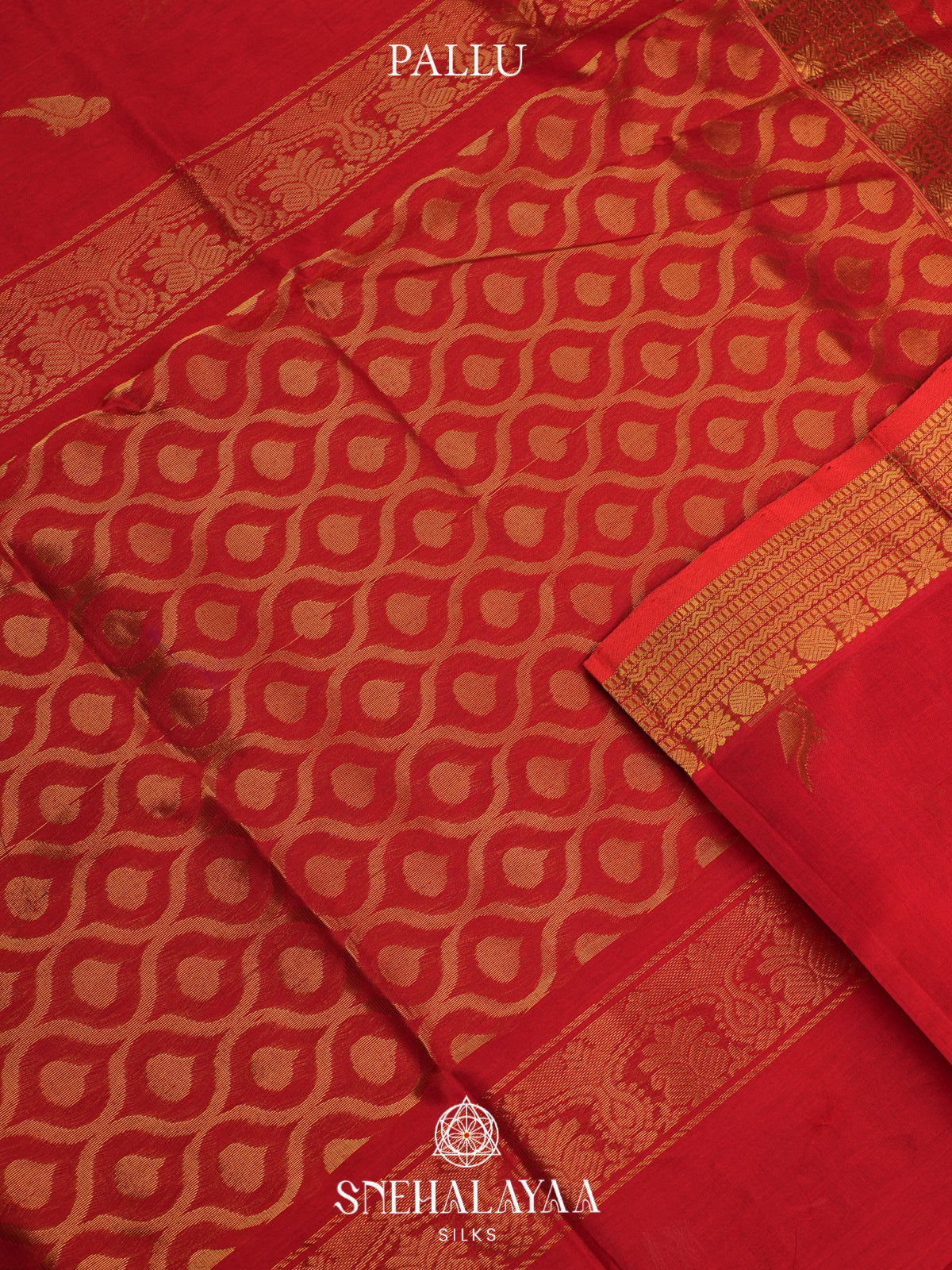Red Kanchi Silk Cotton Saree