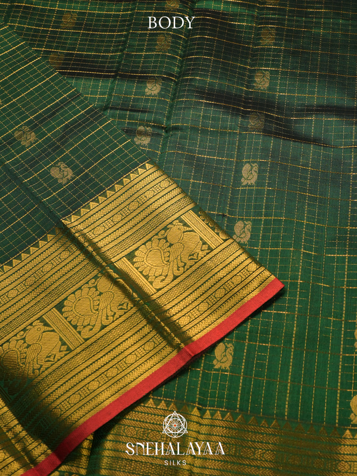 Forest Green Kanchi Silk Cotton Saree