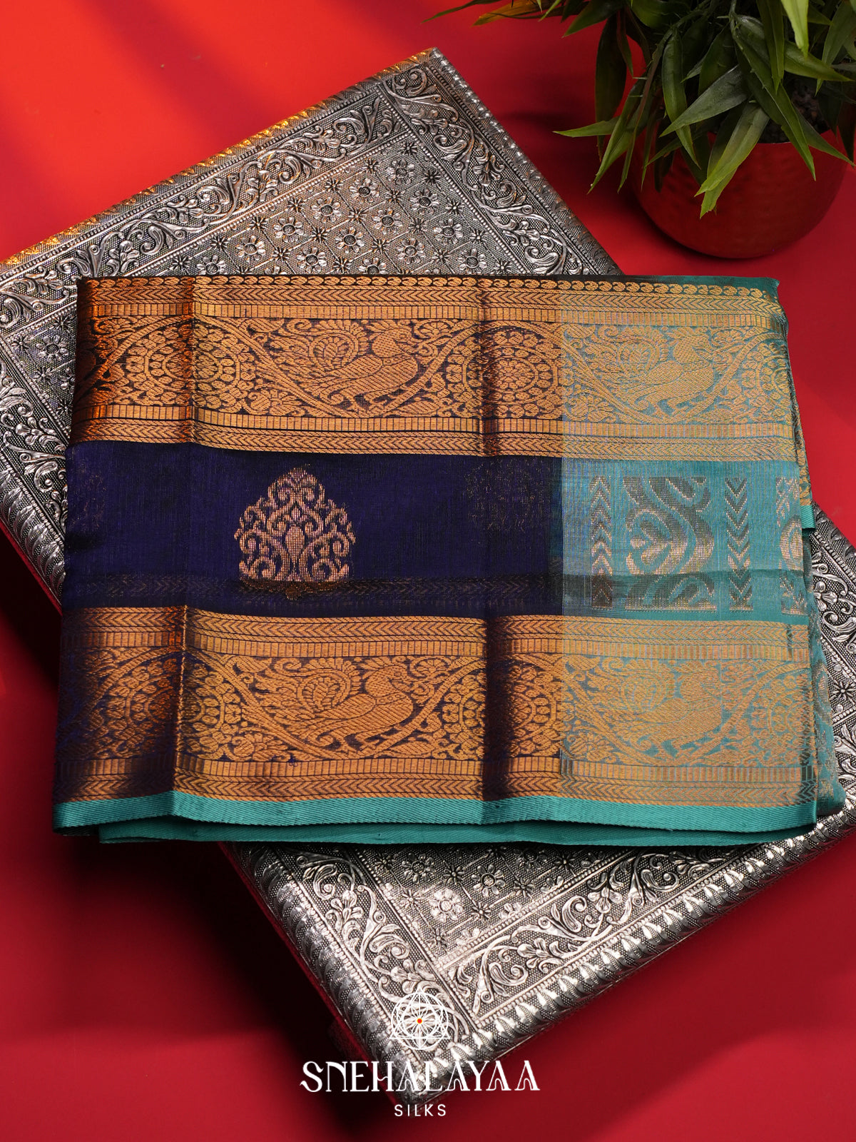 Purple Kanchi Silk Cotton Saree
