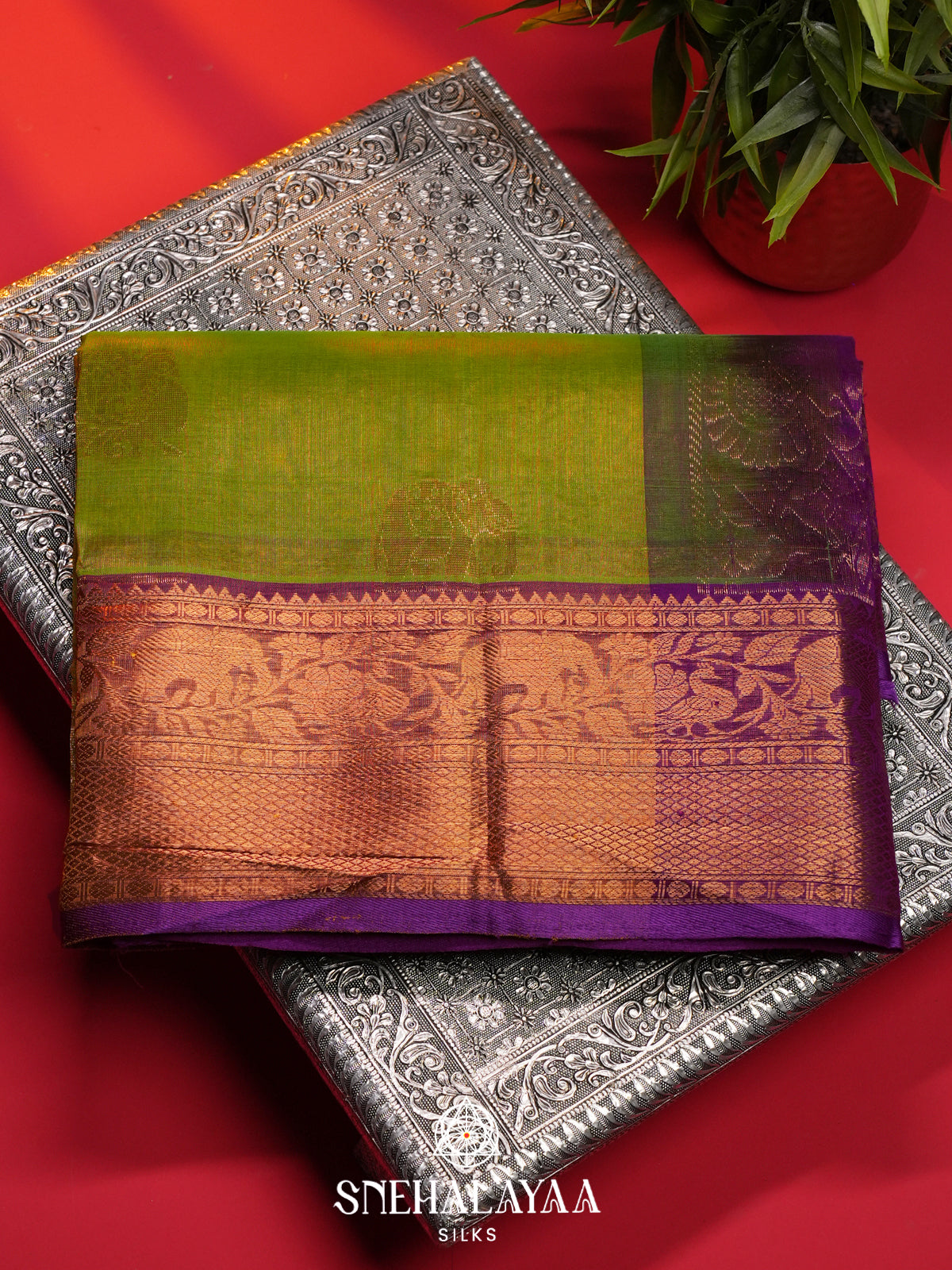 Green Kanchi Silk Cotton Saree