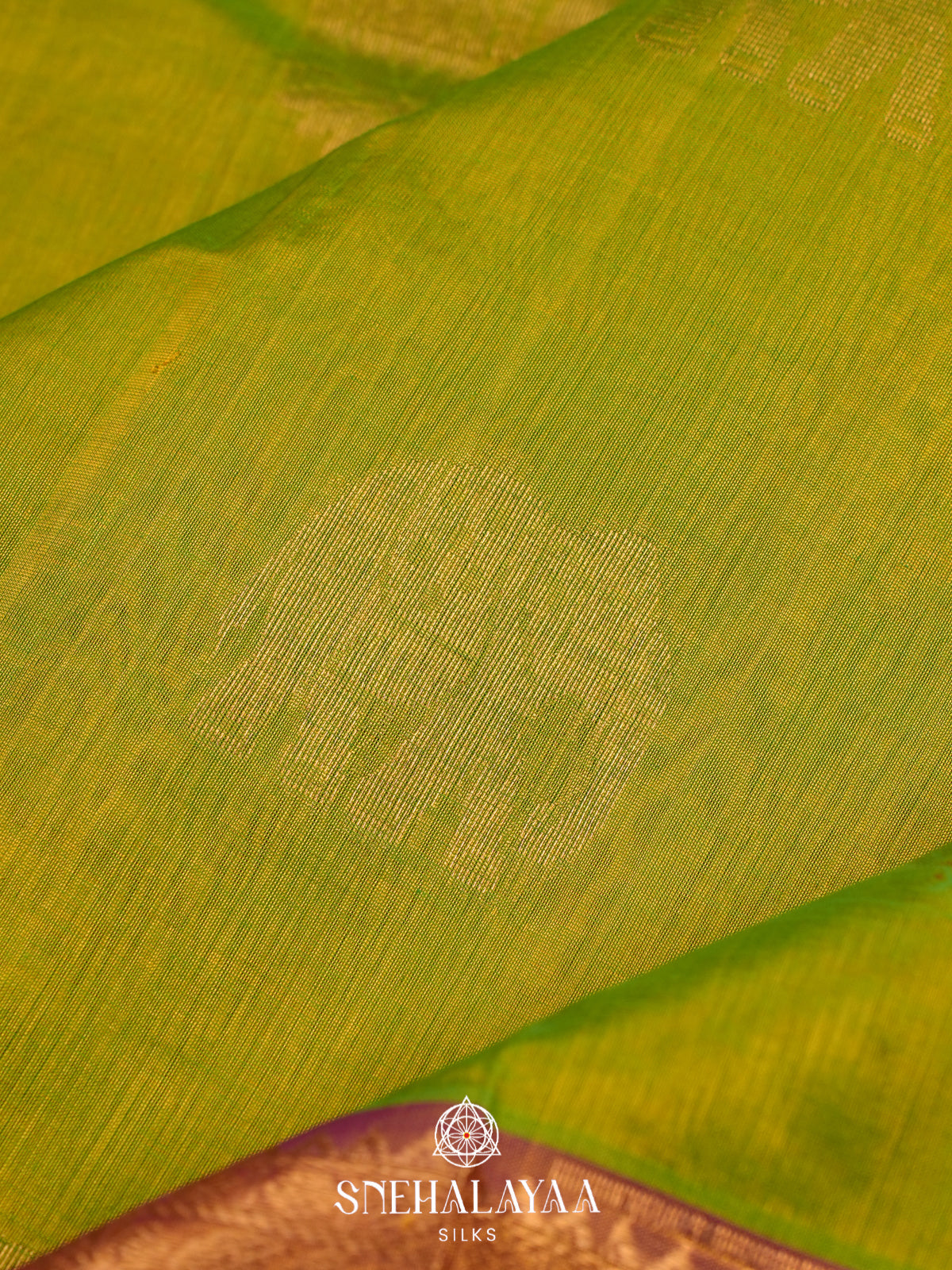 Green Kanchi Silk Cotton Saree