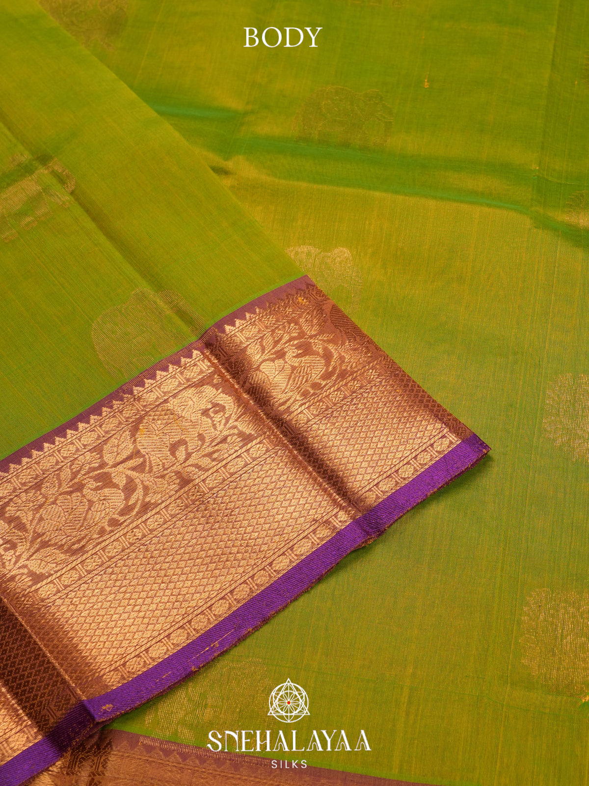 Green Kanchi Silk Cotton Saree