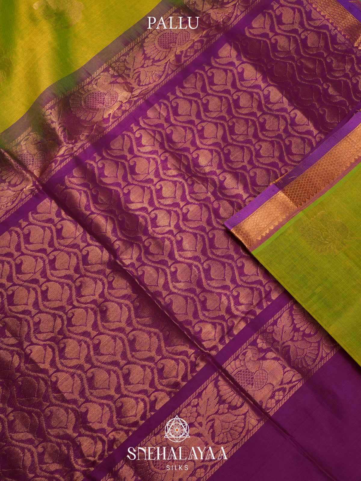 Green Kanchi Silk Cotton Saree