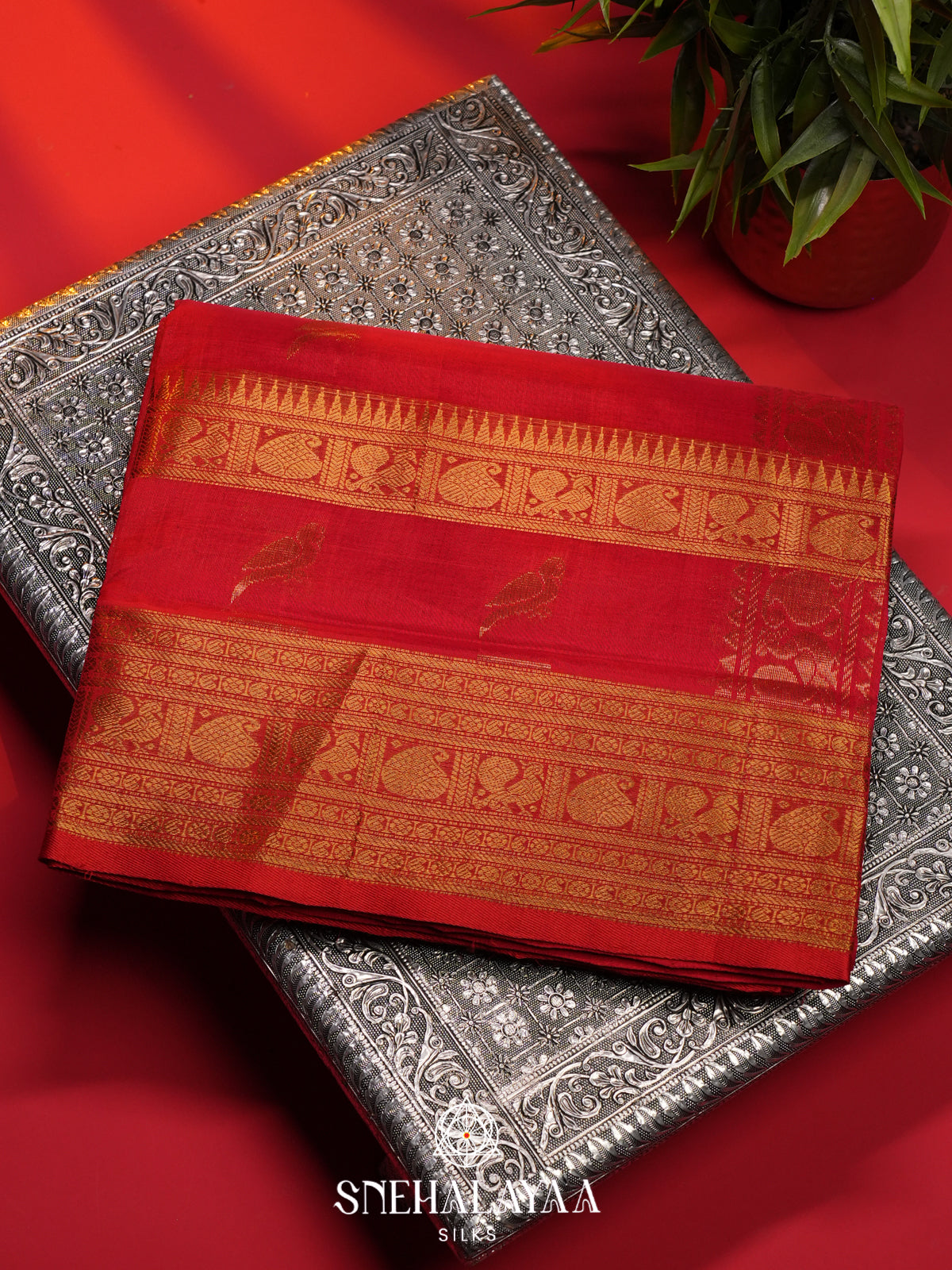 Red Kanchi Silk Cotton Saree