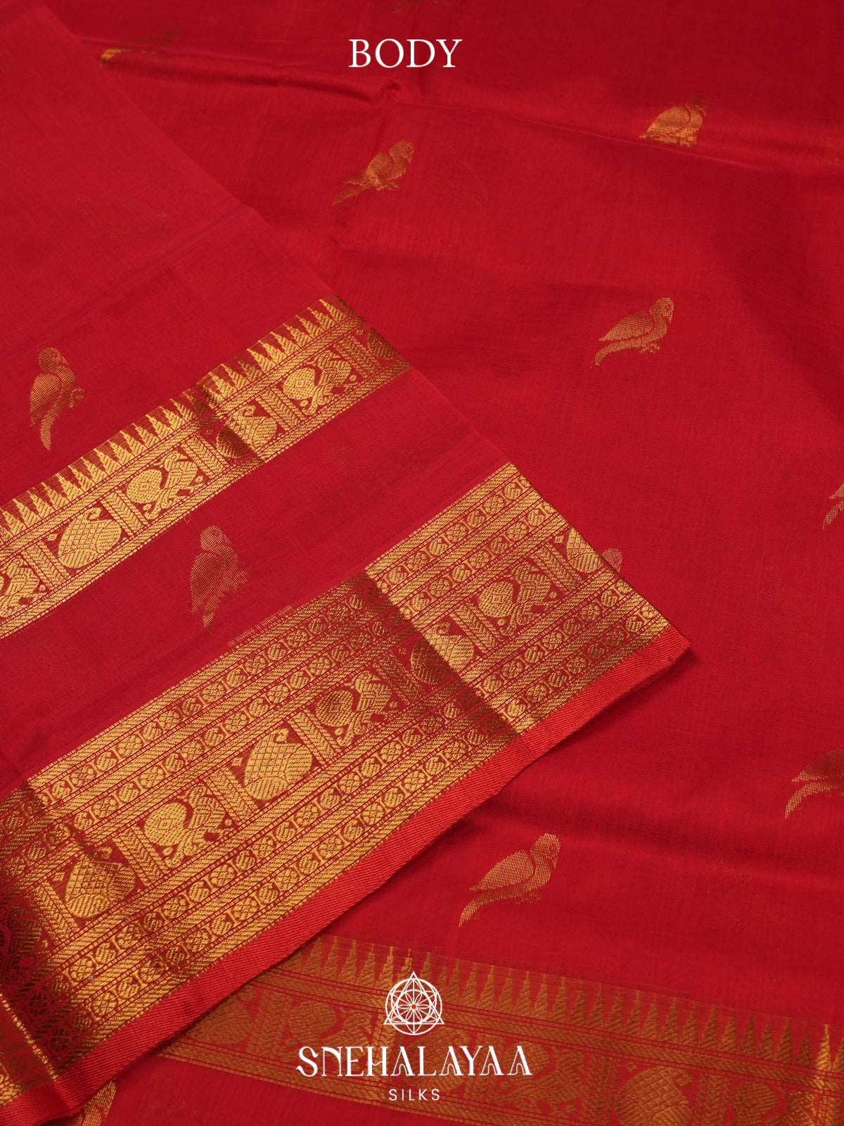 Red Kanchi Silk Cotton Saree