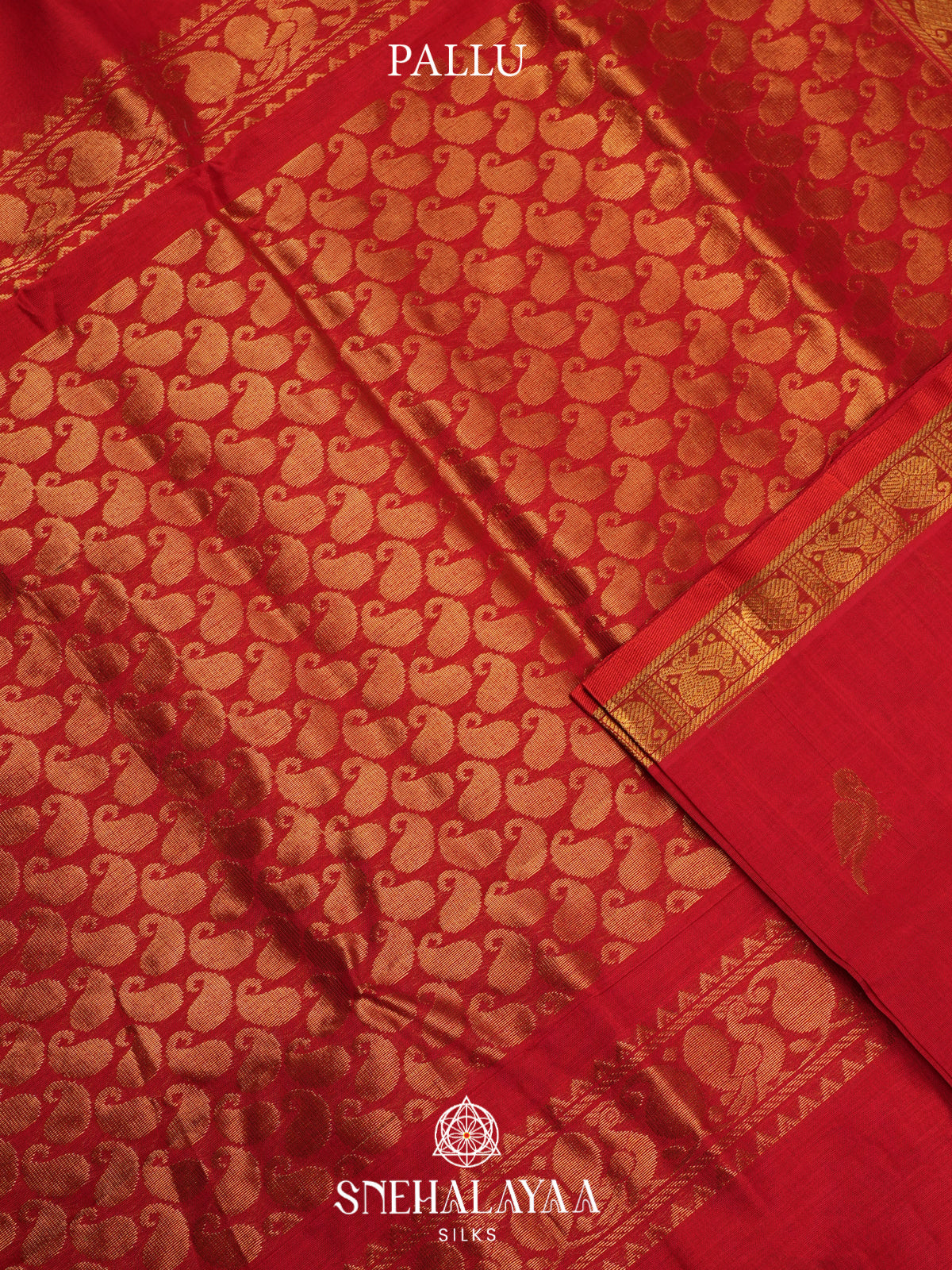 Red Kanchi Silk Cotton Saree