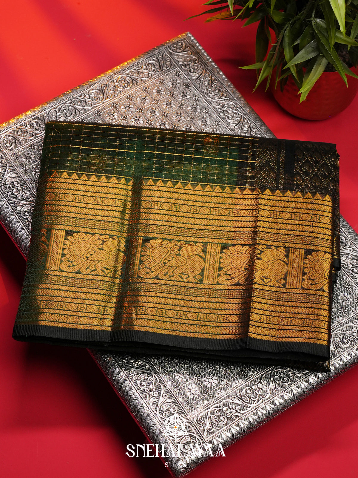 Emerald Green Kanchi Silk Cotton Saree