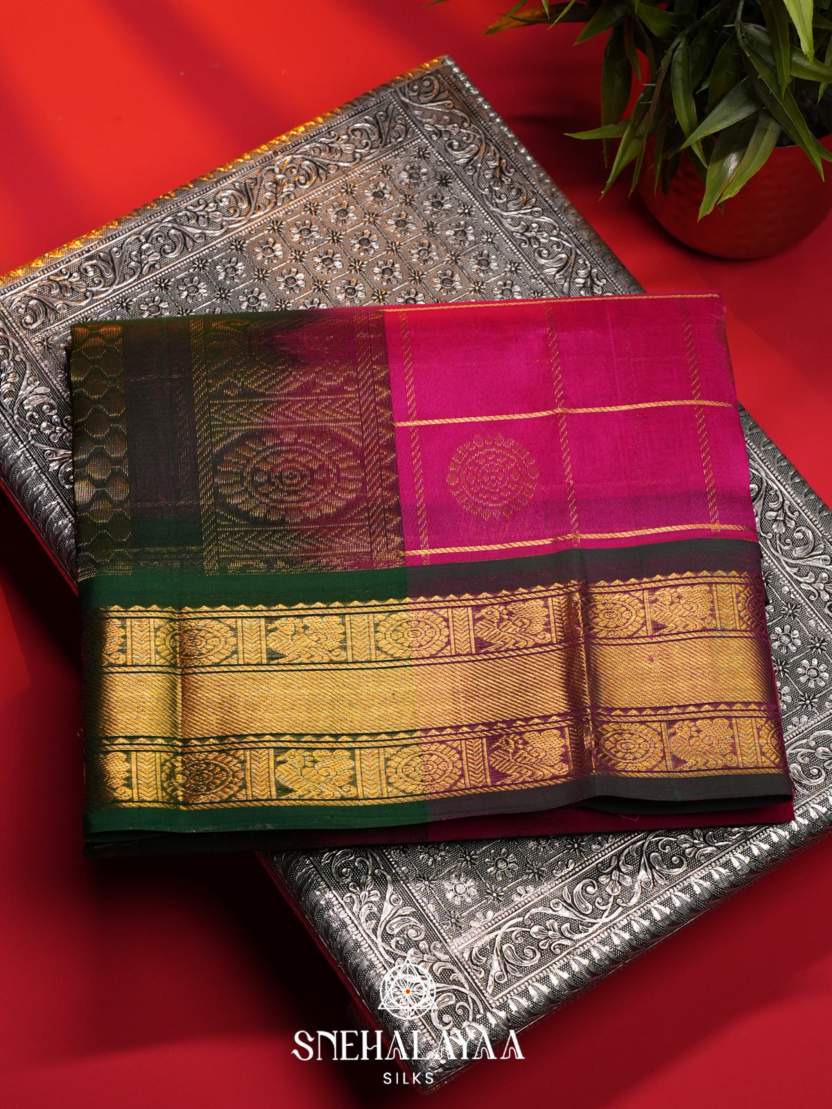 Pink Kanchi Silk Cotton Saree