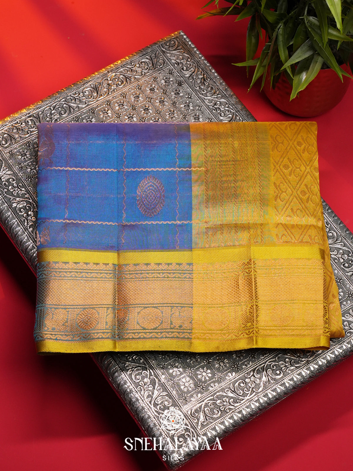 Blue Kanchi Silk Cotton Saree