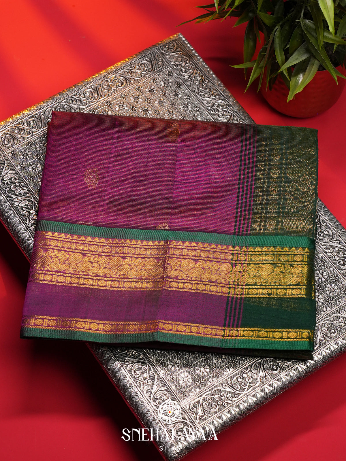 Wine Kanchi Silk Cotton Saree