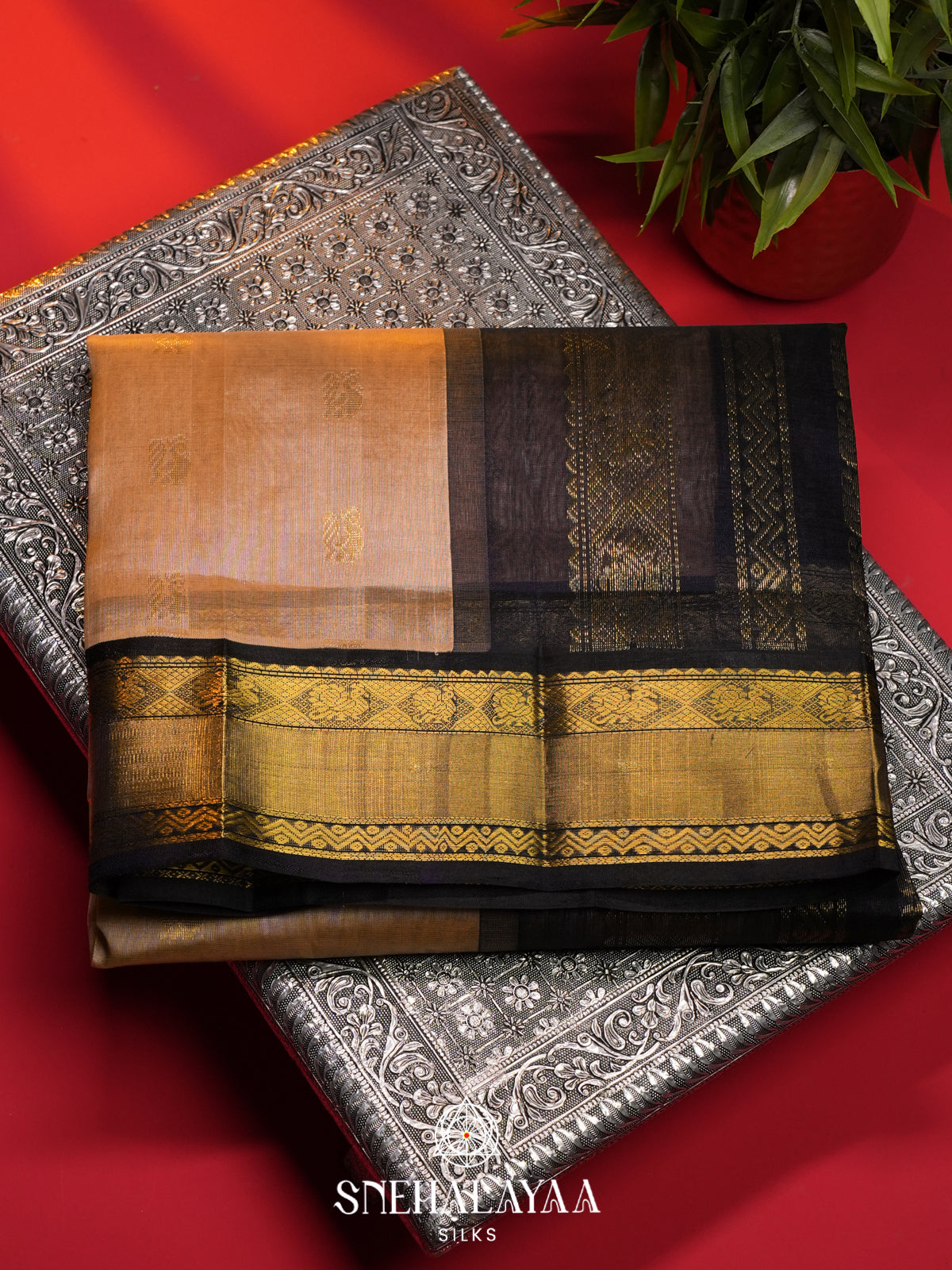 Cream Kanchi Silk Cotton Saree