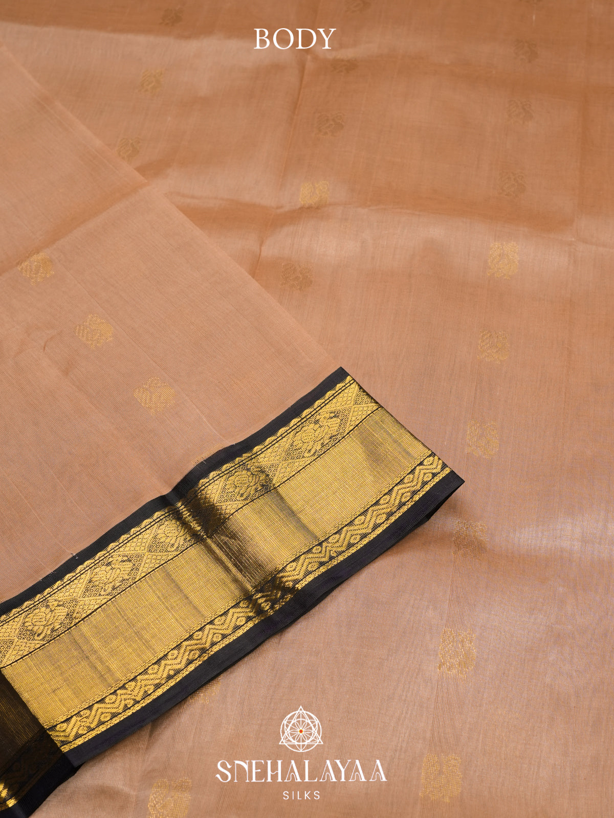 Cream Kanchi Silk Cotton Saree