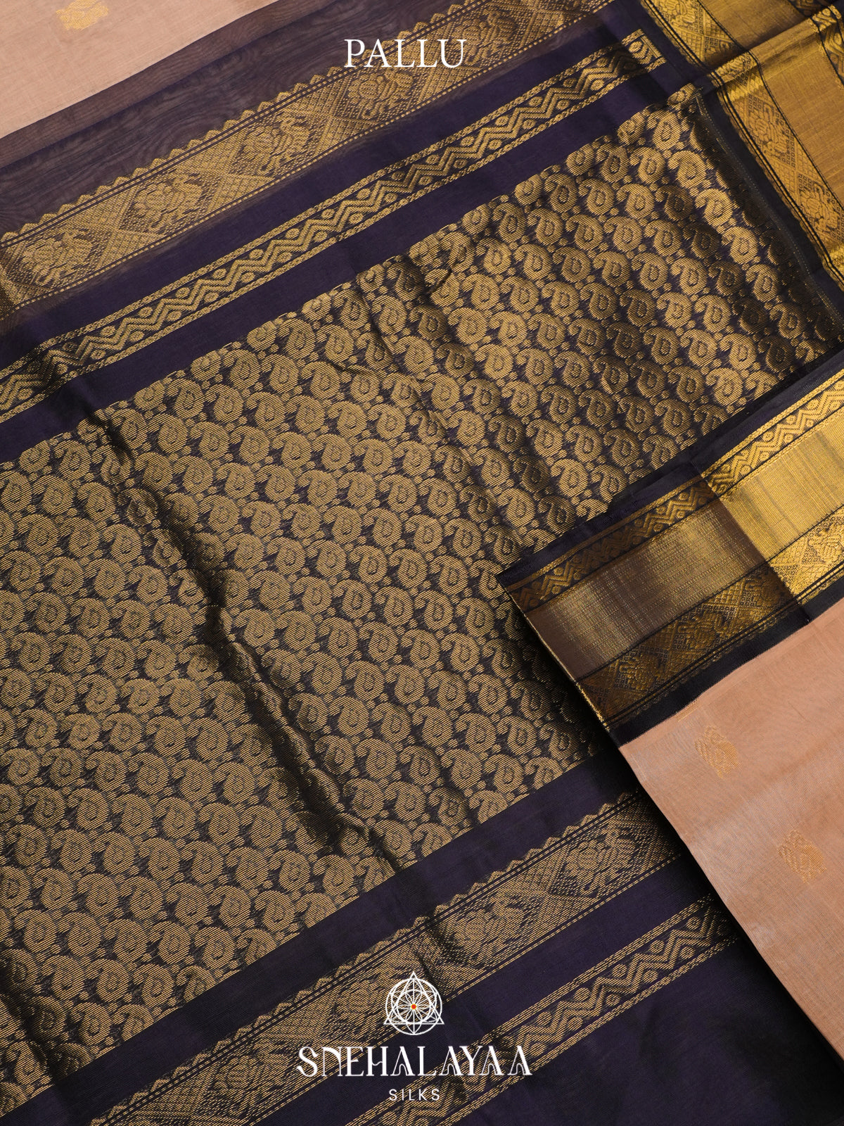 Cream Kanchi Silk Cotton Saree