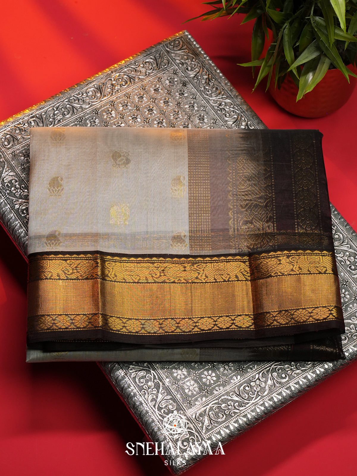 Grey Kanchi Silk Cotton Saree