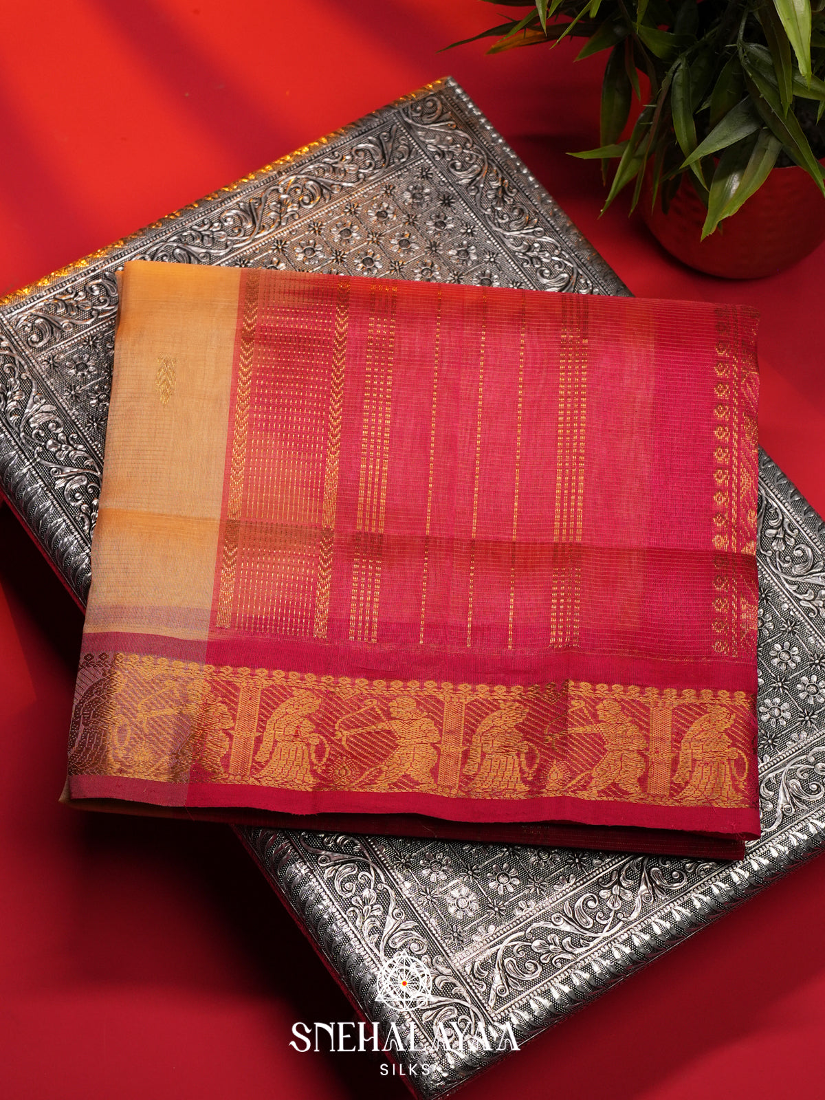 Sandal Kanchi Silk Cotton Saree