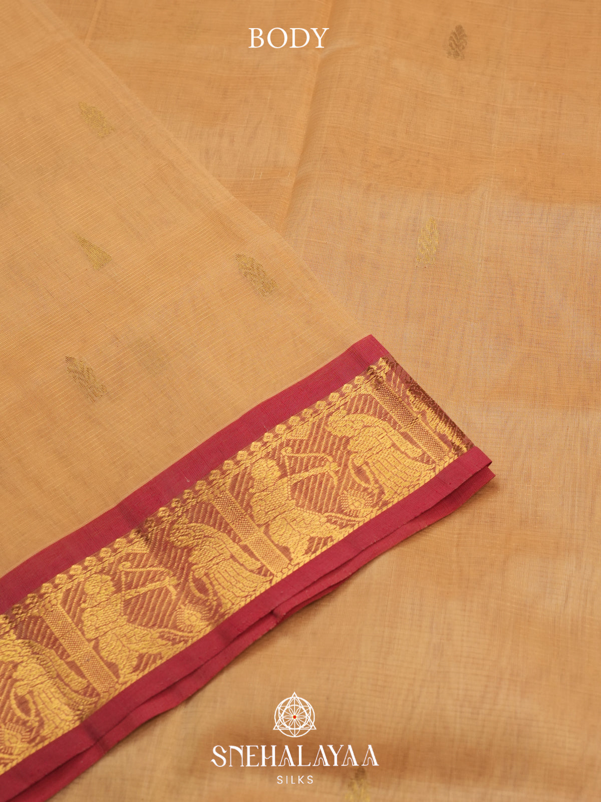 Sandal Kanchi Silk Cotton Saree