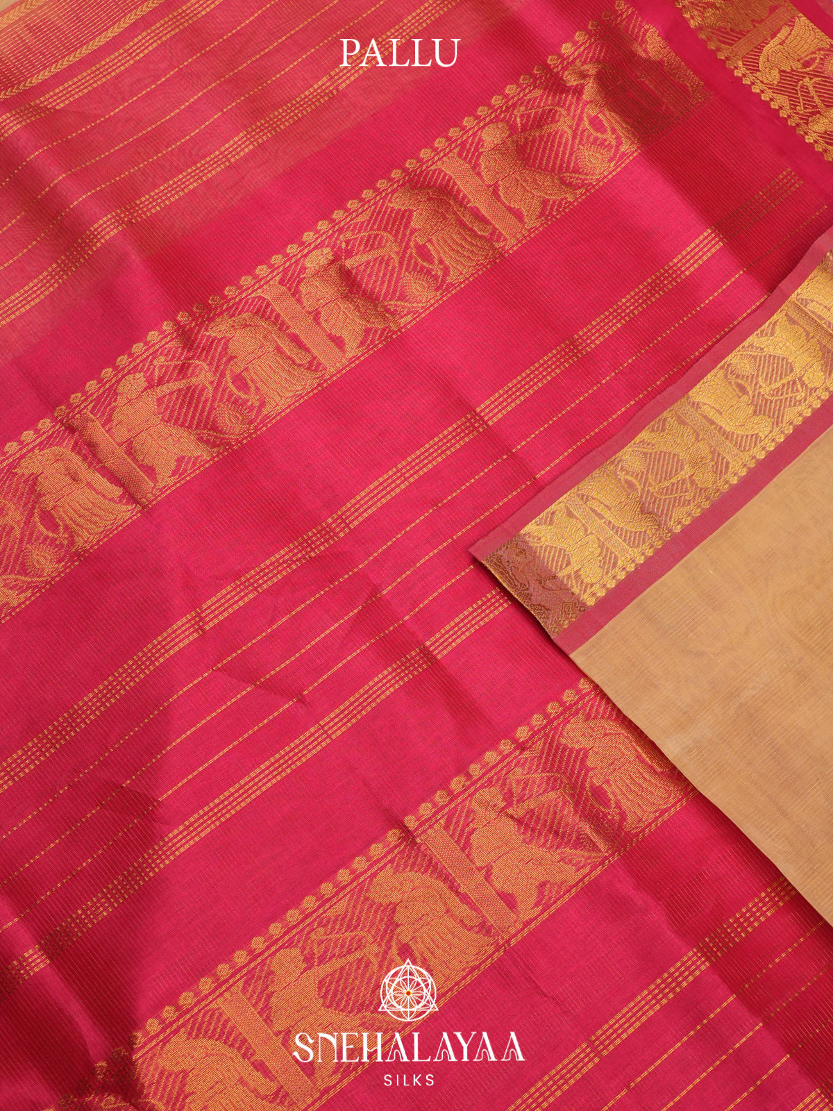 Sandal Kanchi Silk Cotton Saree