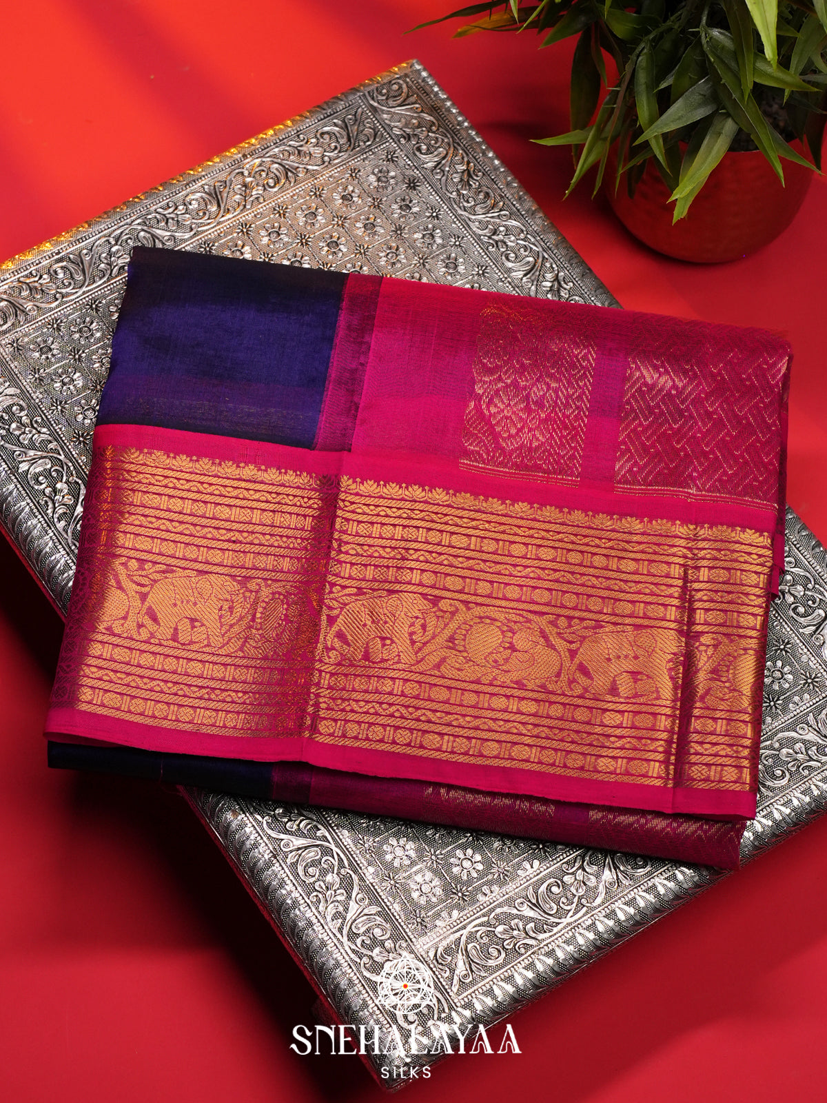 Purple Kanchi Silk Cotton Saree