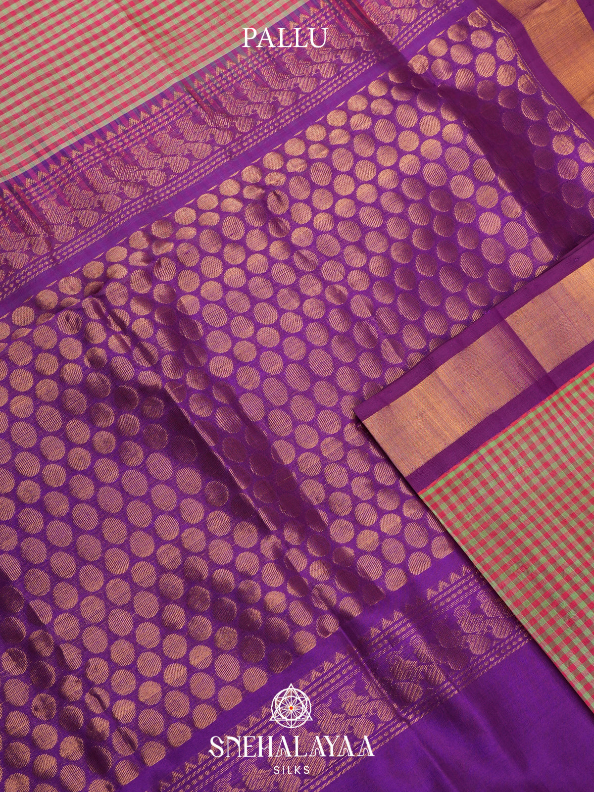 Multicolour Checks Kanchi Silk Cotton Saree