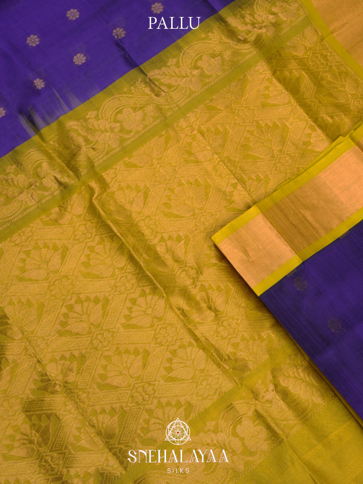 Purple Kanchi Silk Cotton Saree