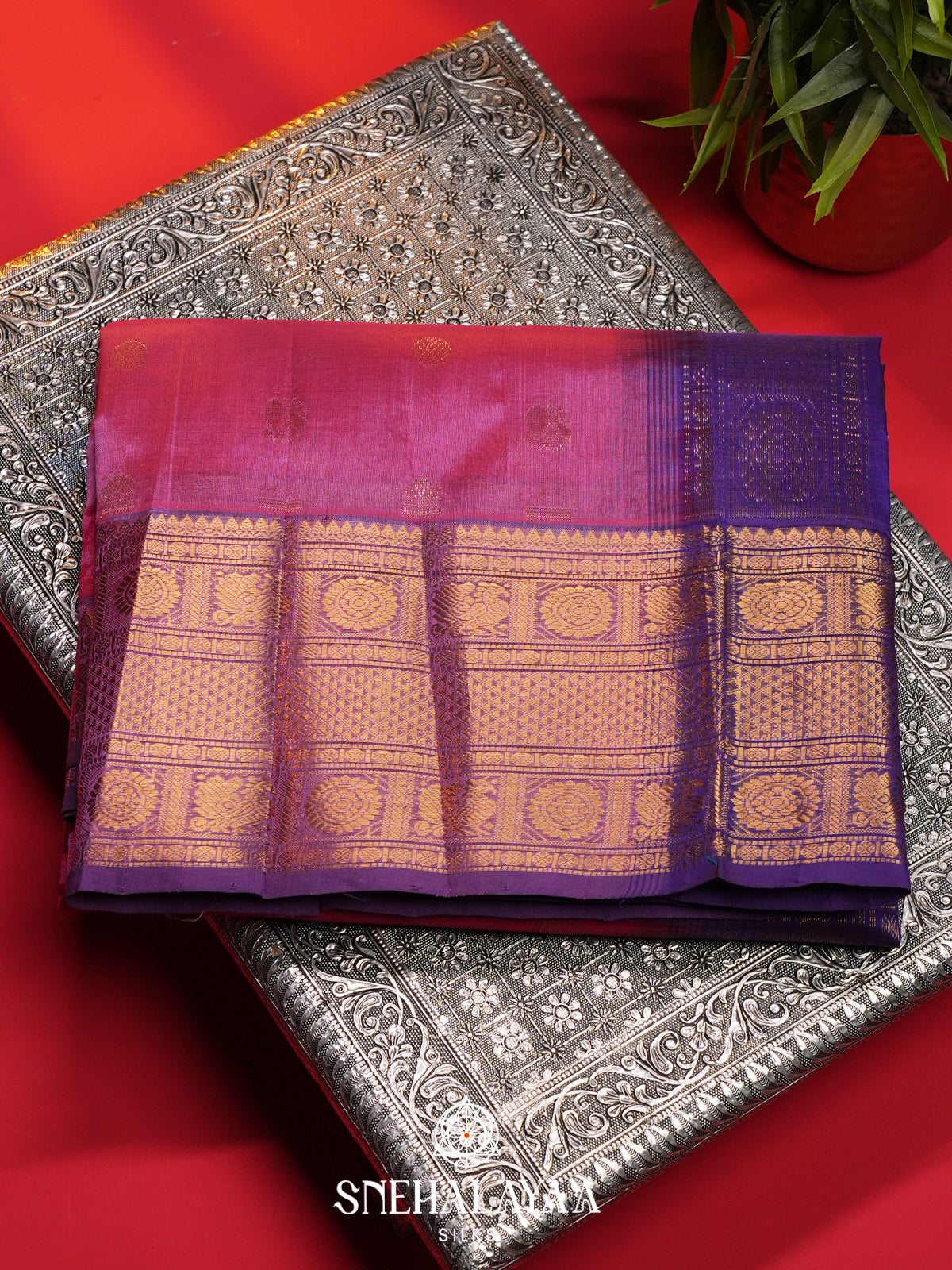 Pink Kanchi Silk Cotton Saree