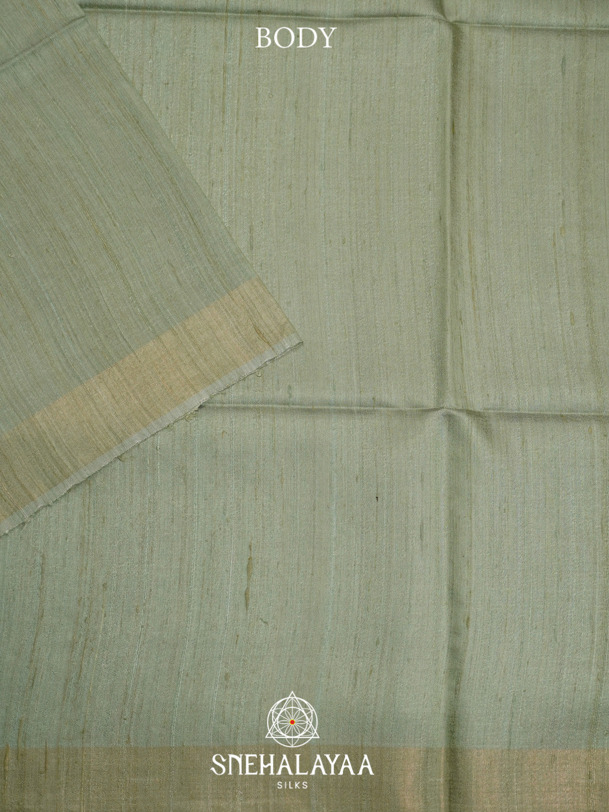 Sage Green Dupion Silk Saree