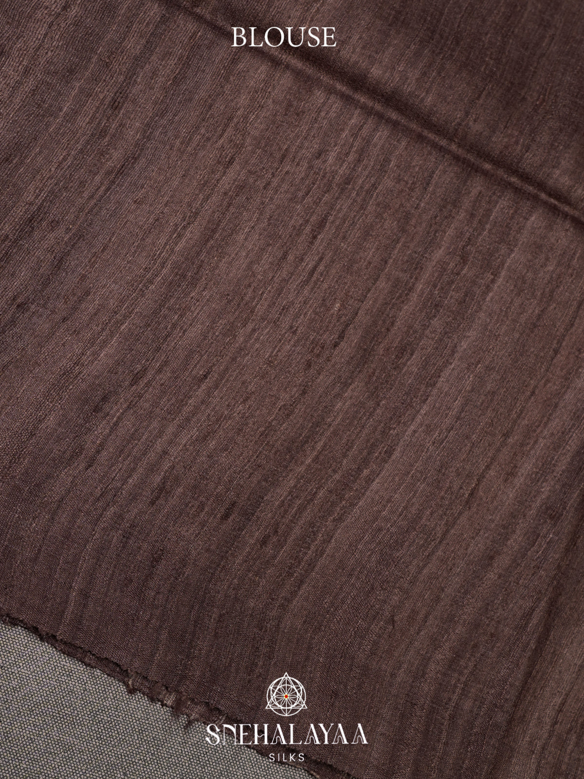 Brown Madhubani Tussar Saree