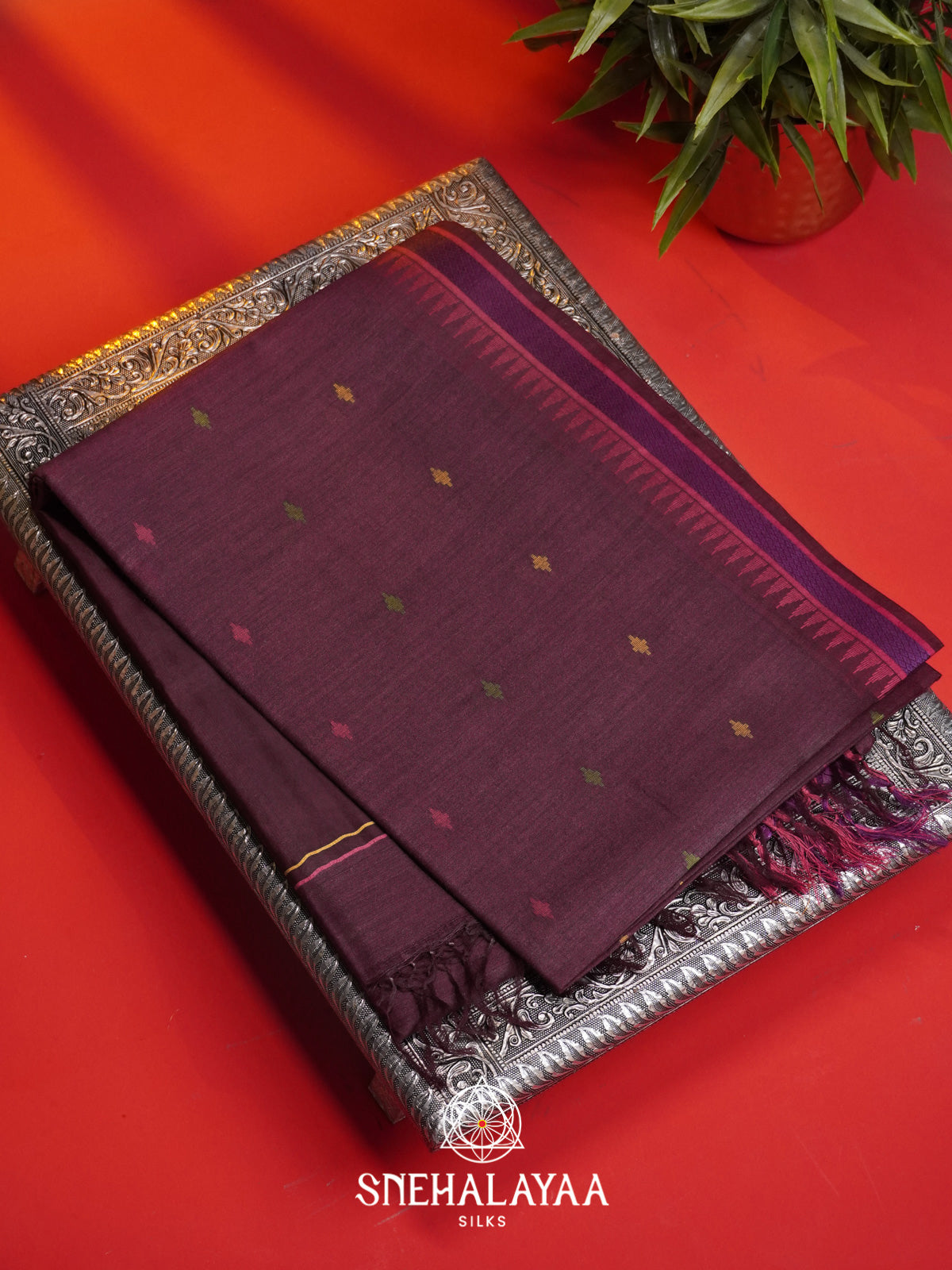 Wine Matka Tussar Silk Saree