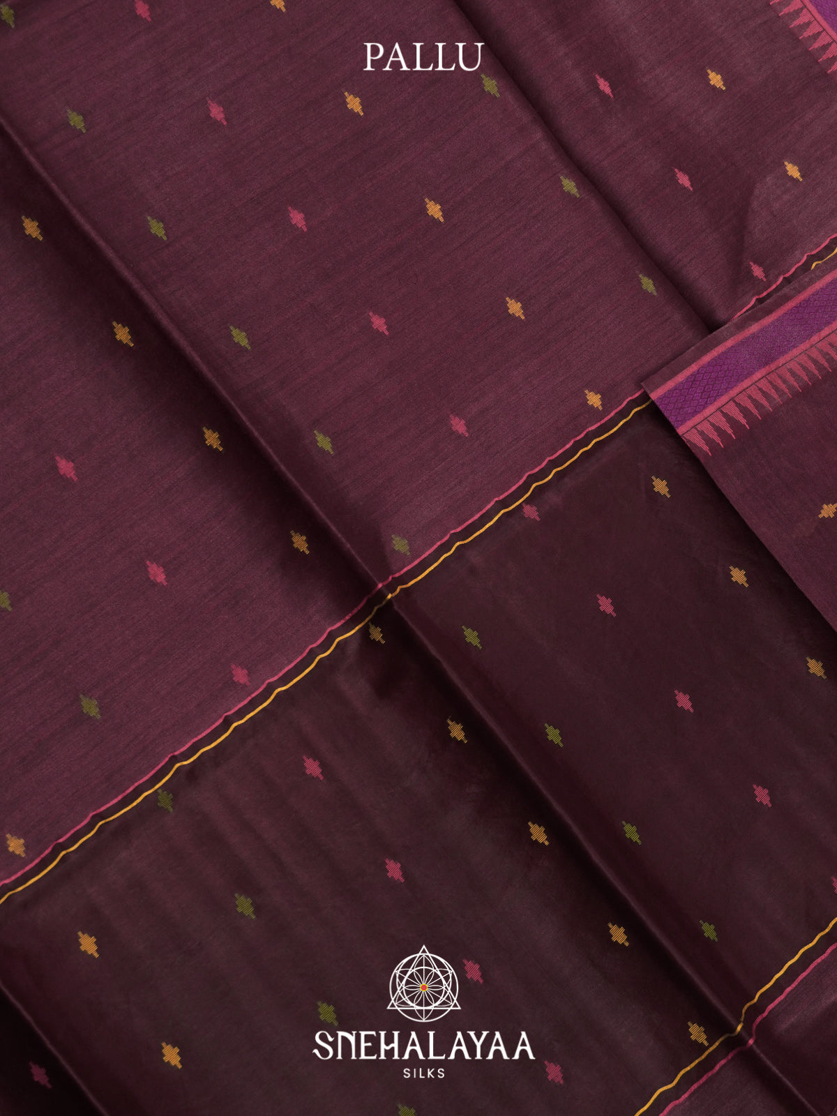 Wine Matka Tussar Silk Saree