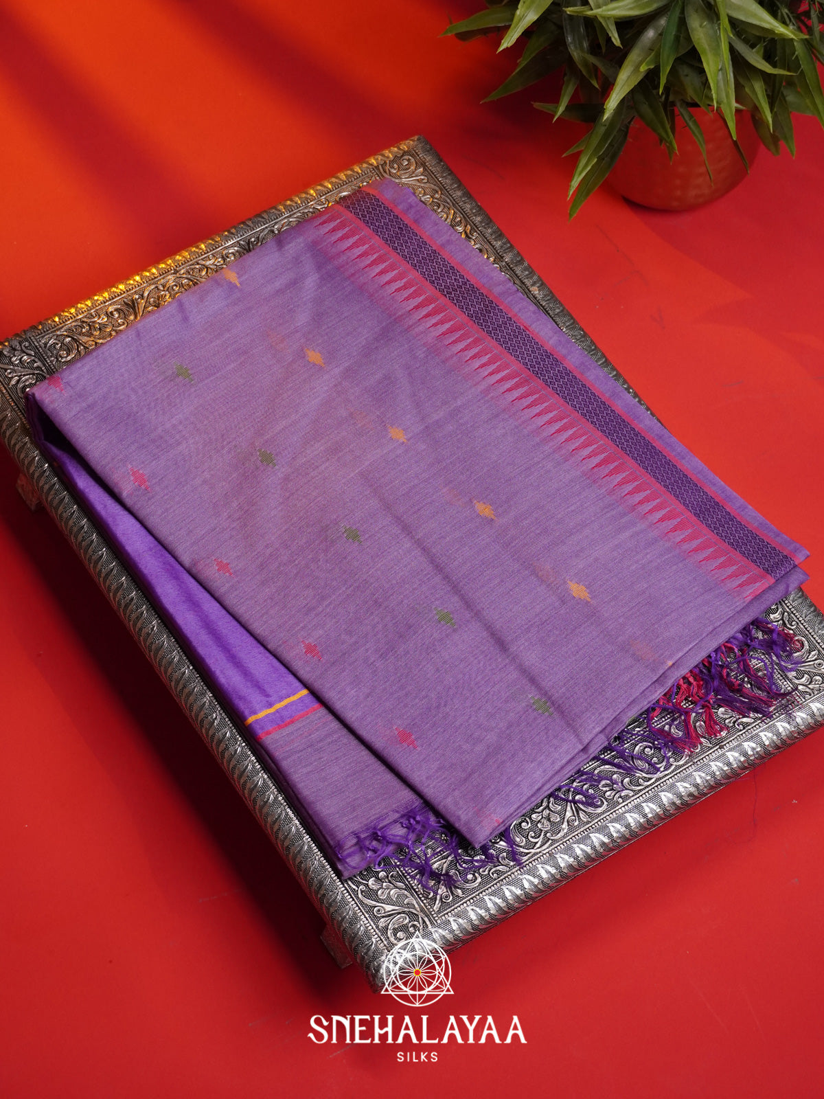 Orchid  Matka Tussar Silk Saree