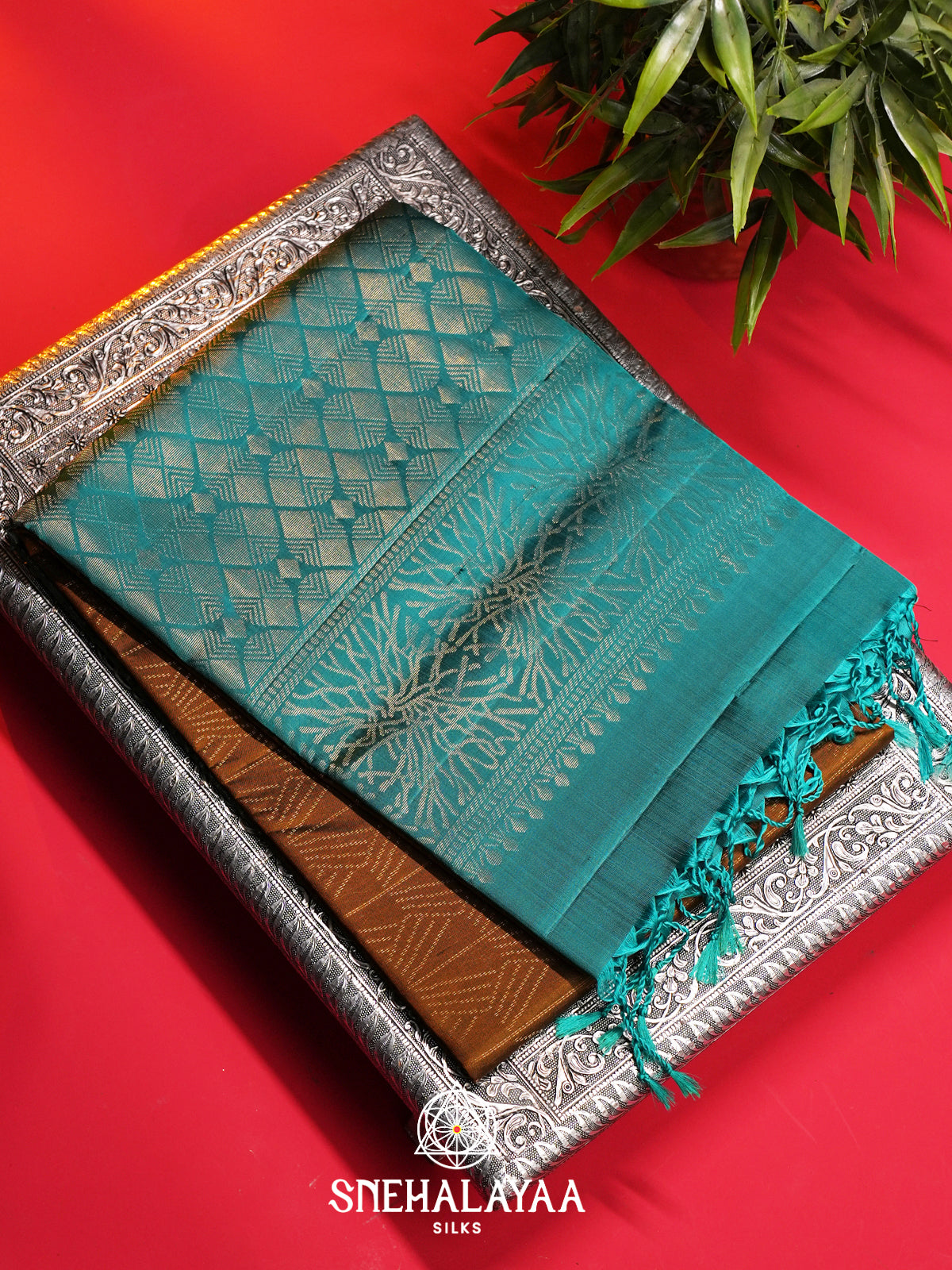 Burnt Orange Soft Silk Saree