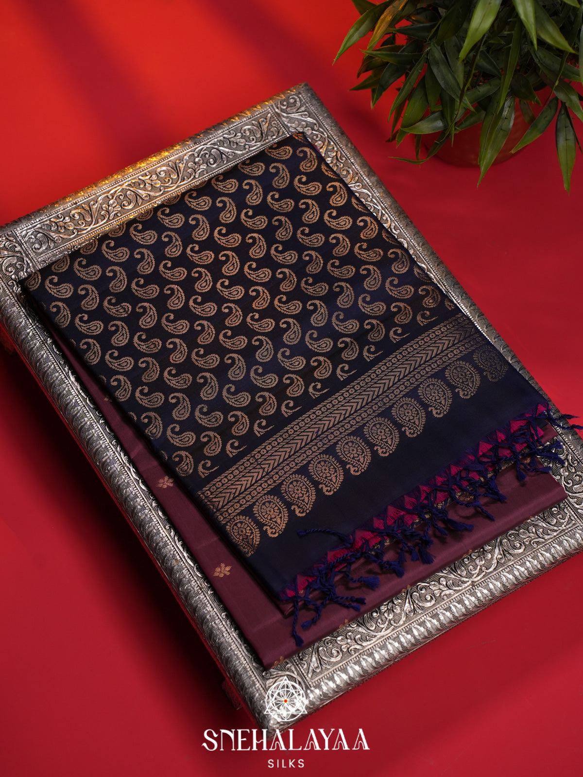 Raspberry Pink Soft Silk Saree
