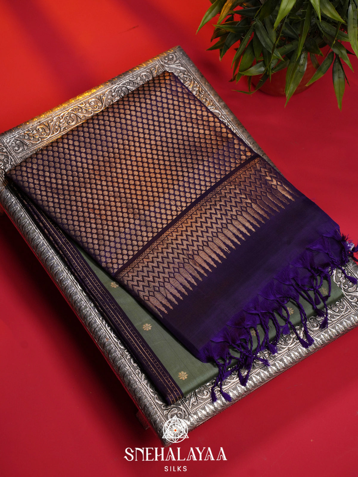 Sage Green Soft Silk Saree