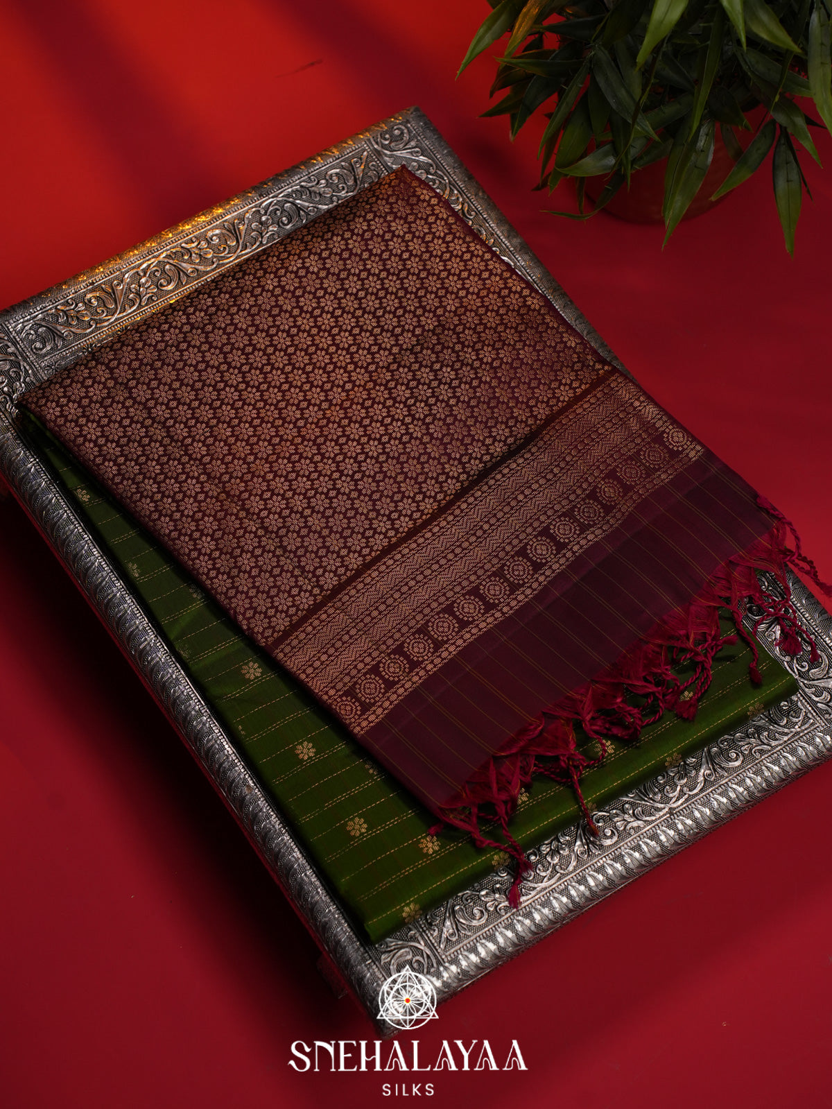Chocolate Brown Soft Silk Saree