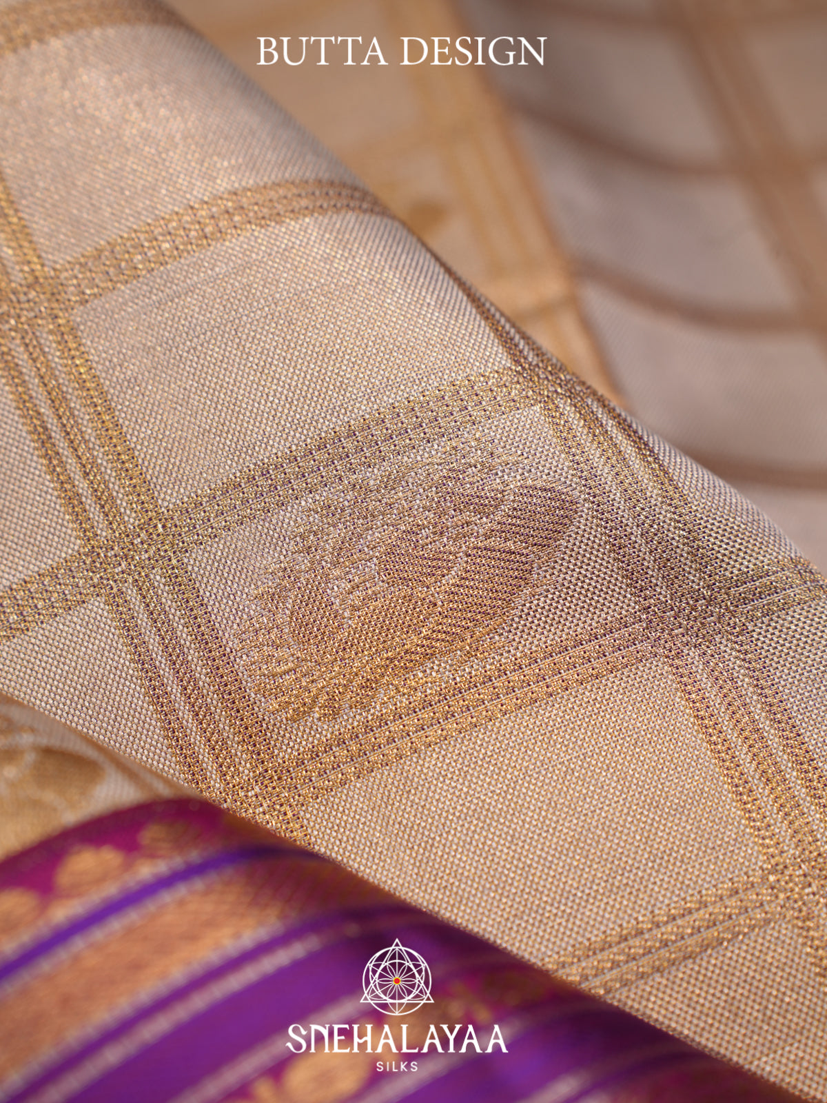 Beige Kanjivaram Silk Saree